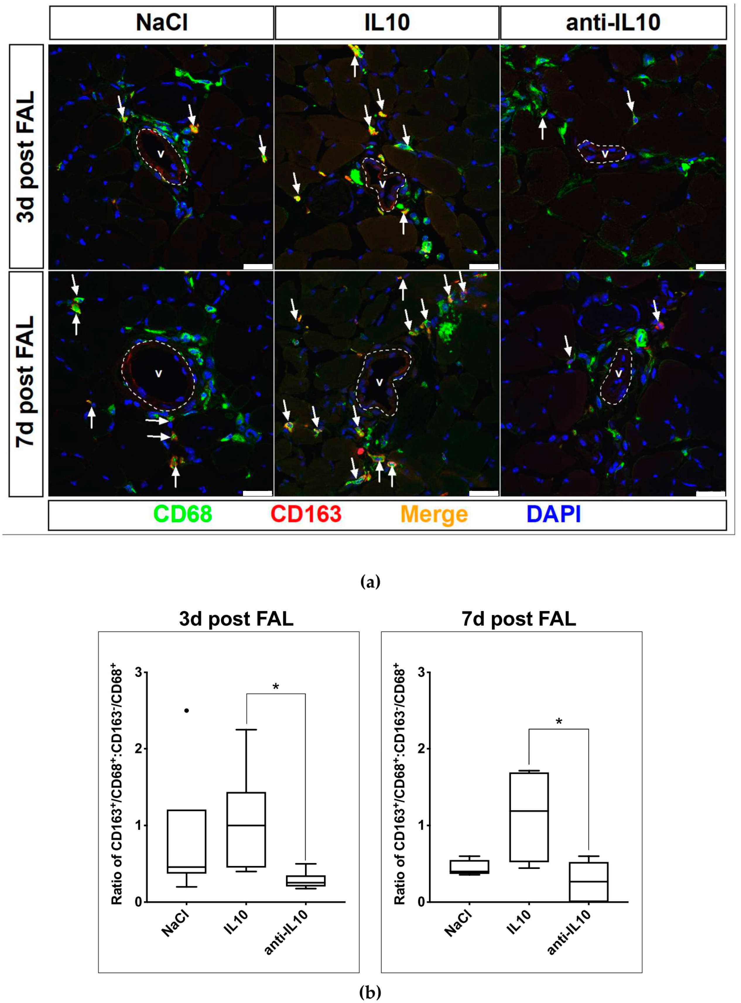 Ijms 21 02821 g002 Ijms 21 02821 g002