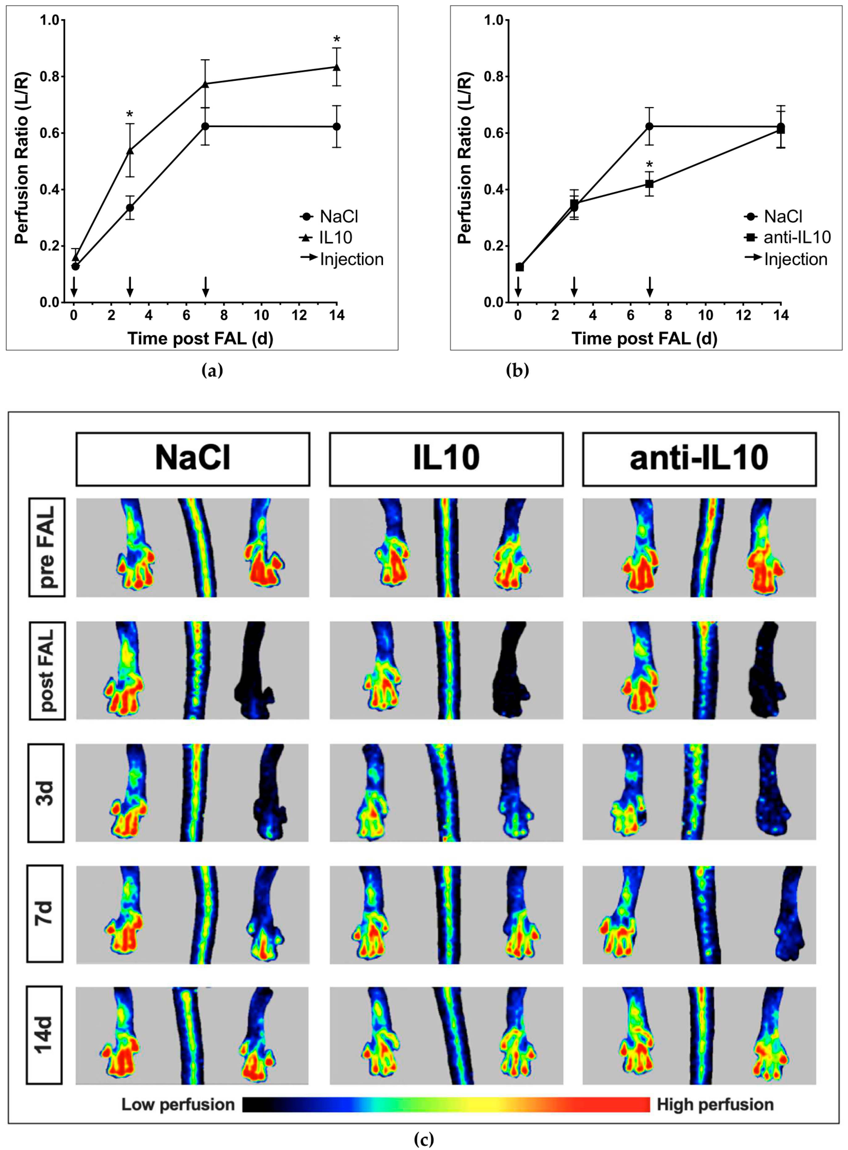Ijms 21 02821 g003 Ijms 21 02821 g003
