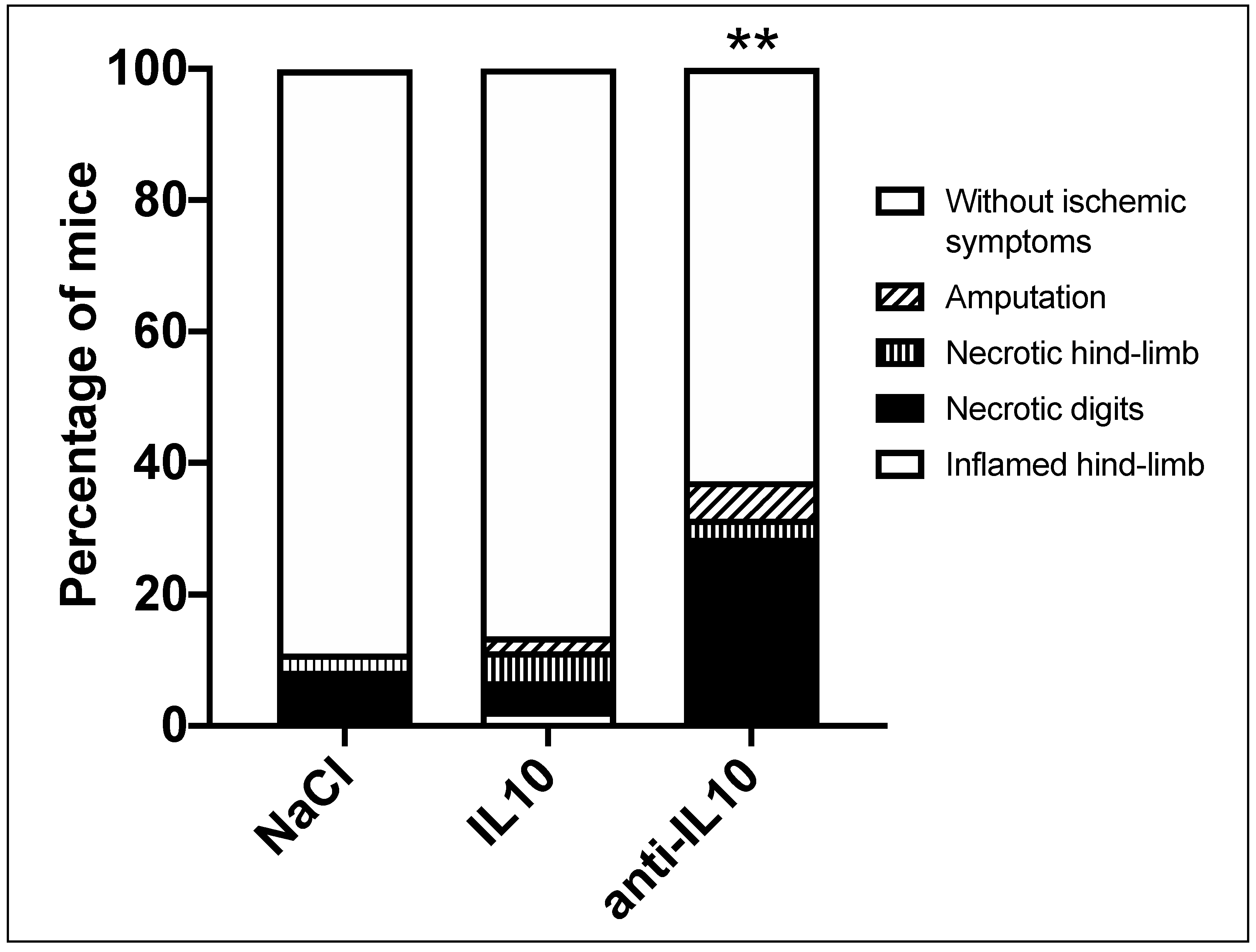 Ijms 21 02821 g004 Ijms 21 02821 g004