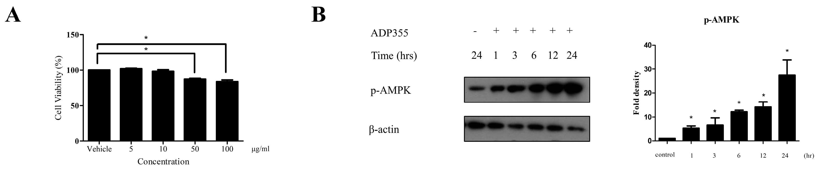 Ijms 21 02833 g001 Ijms 21 02833 g001