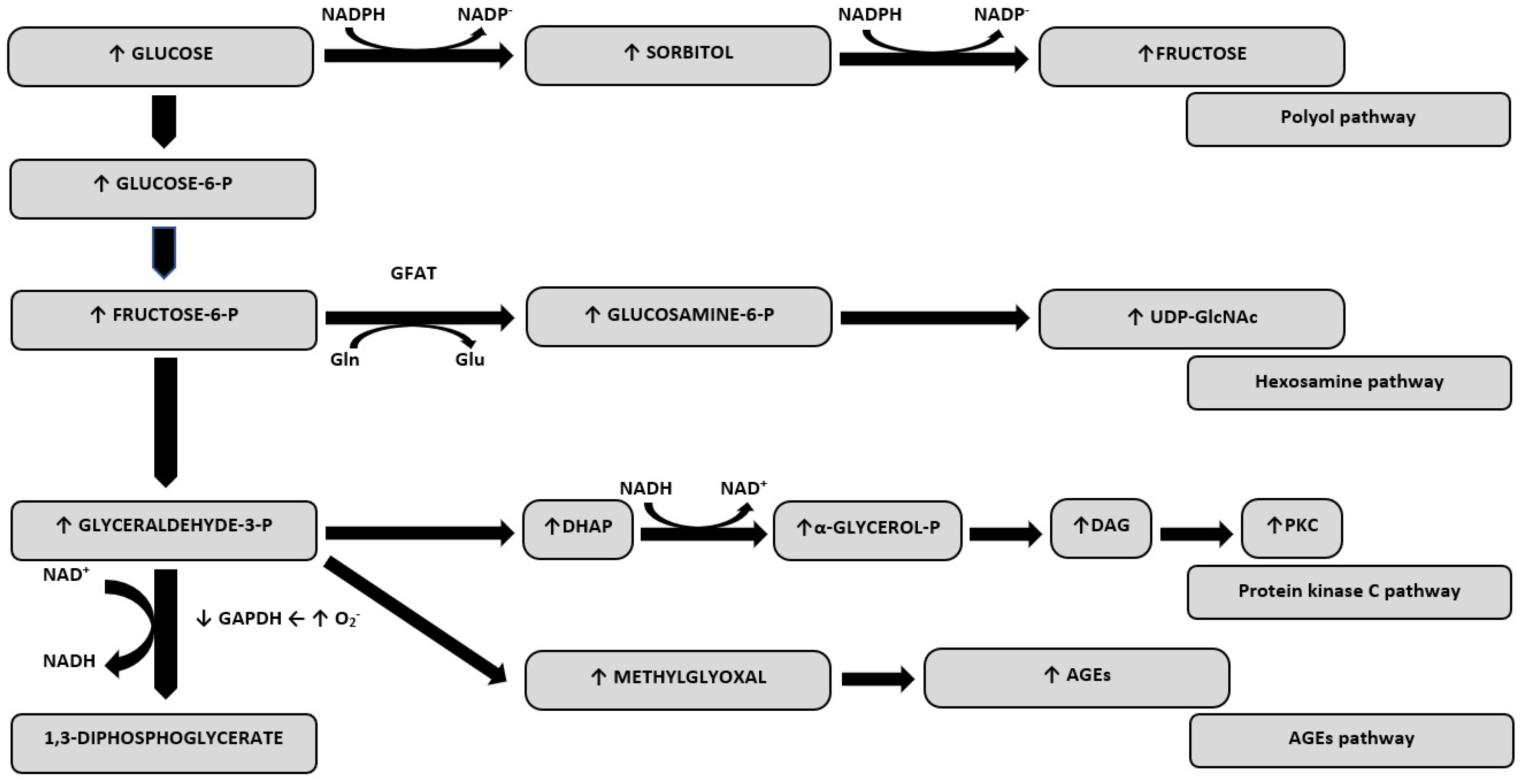 Ijms 21 02852 g001 Ijms 21 02852 g001