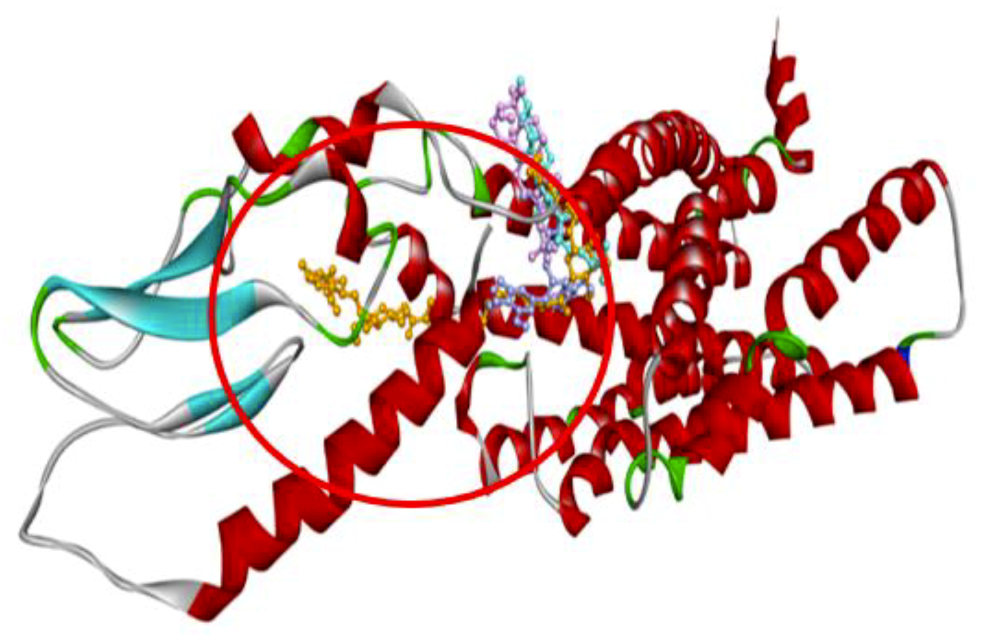 Ijms 21 02854 g003 Ijms 21 02854 g003