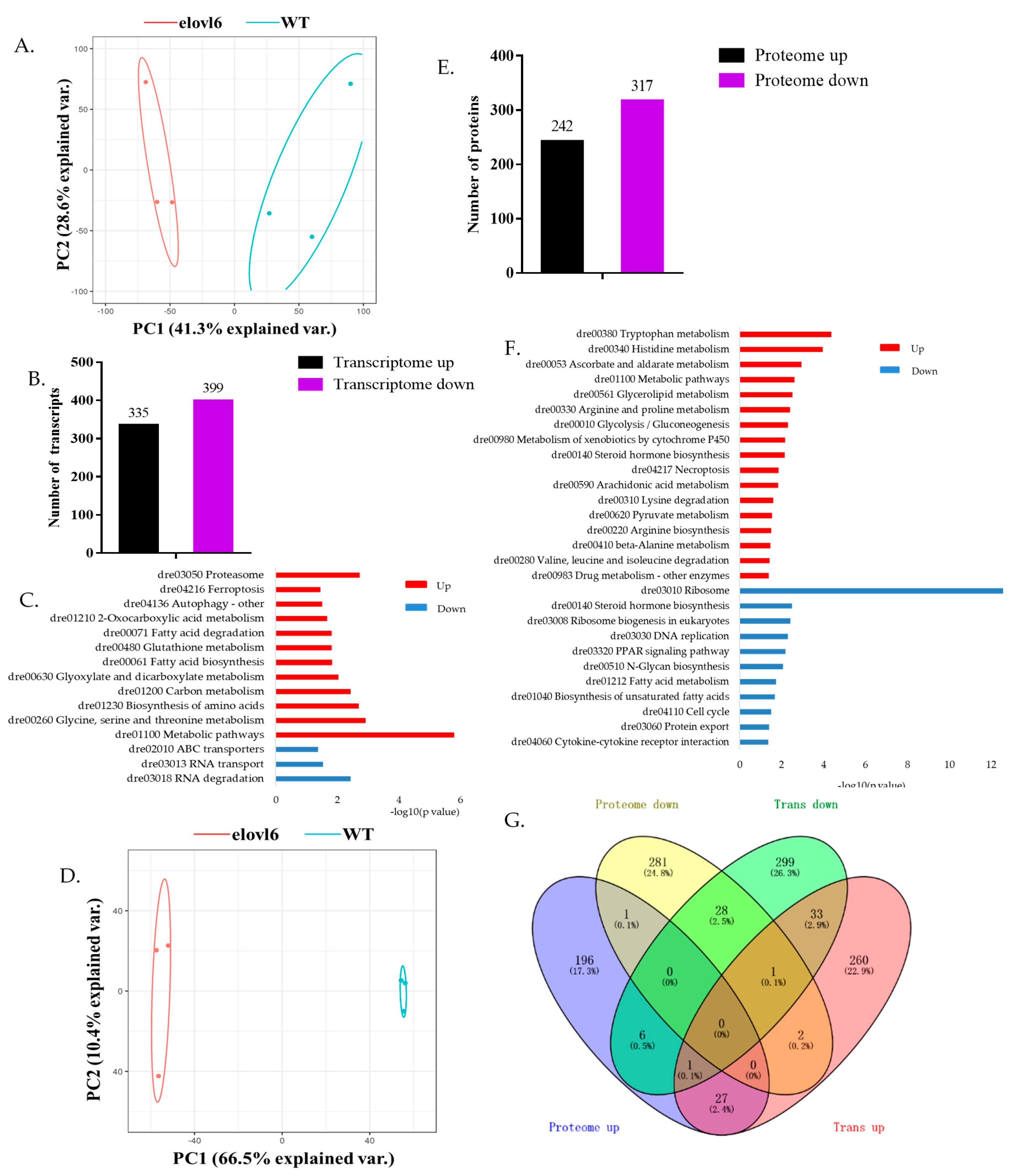 Ijms 21 02860 g002 Ijms 21 02860 g002