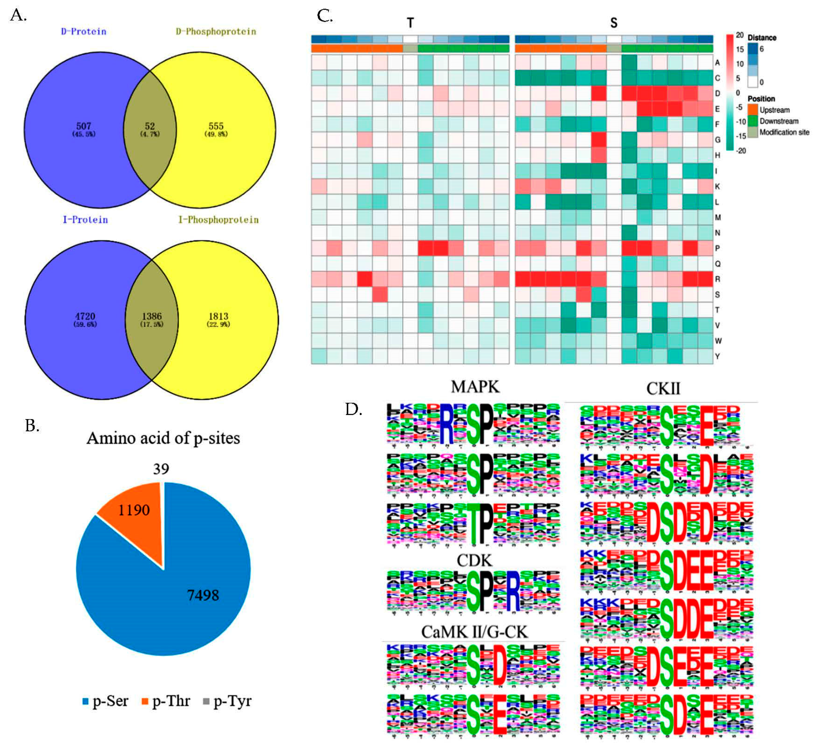 Ijms 21 02860 g003 Ijms 21 02860 g003