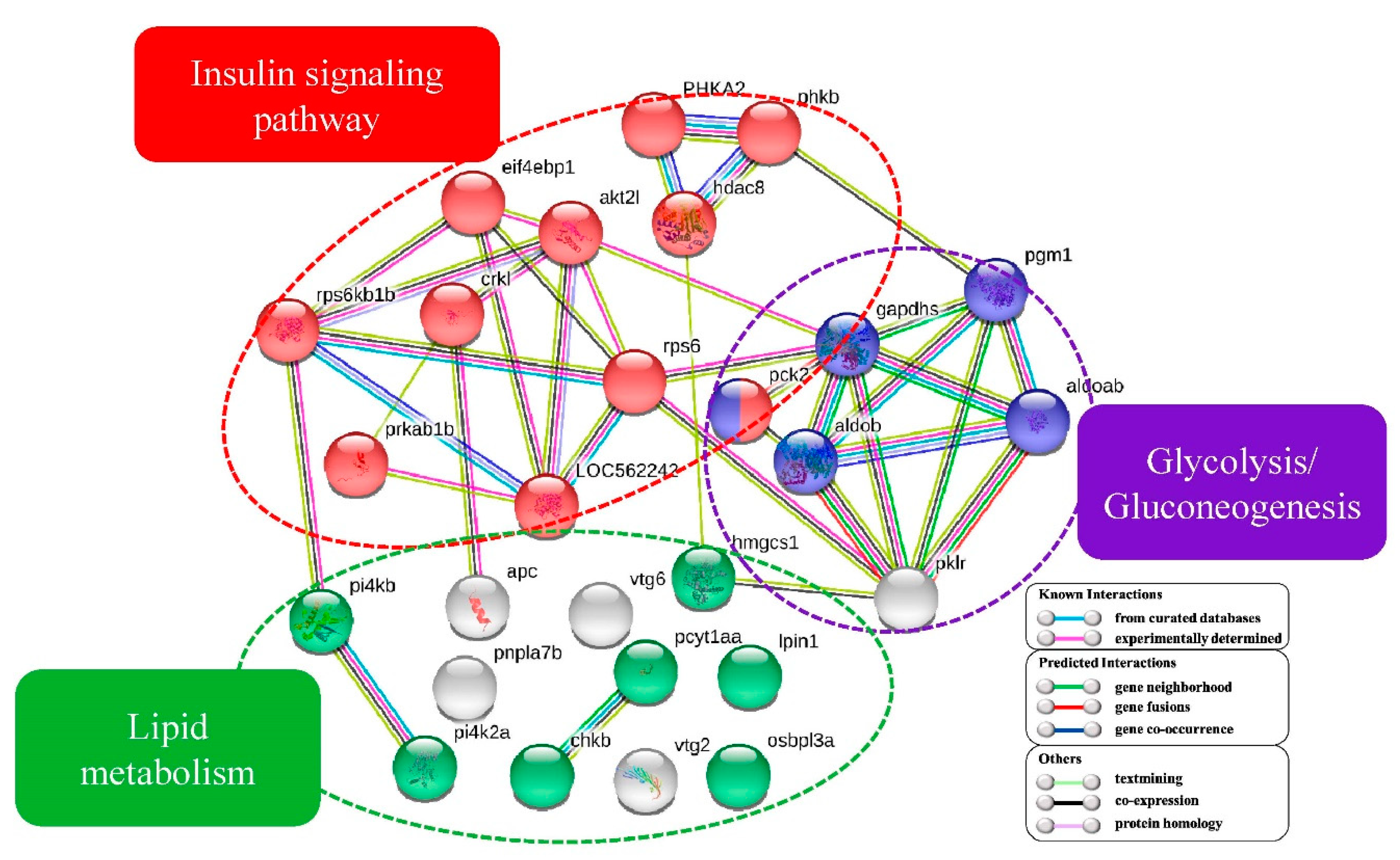 Ijms 21 02860 g005 Ijms 21 02860 g005