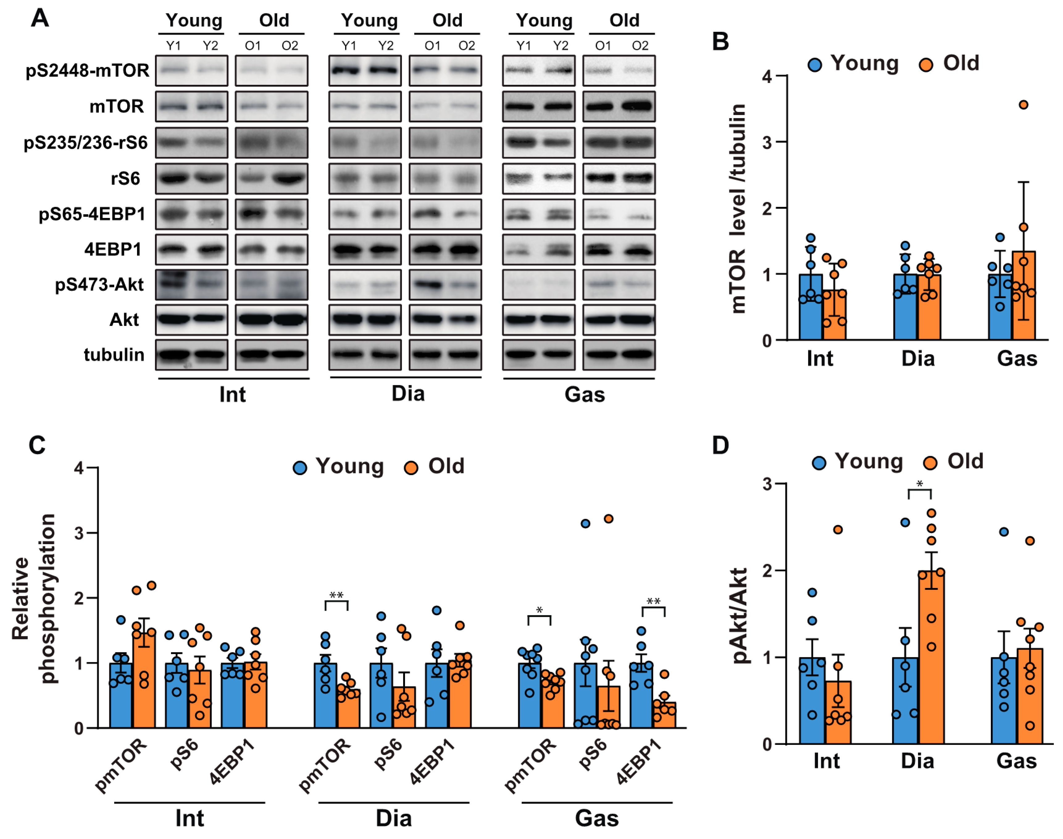 Ijms 21 02862 g001 Ijms 21 02862 g001