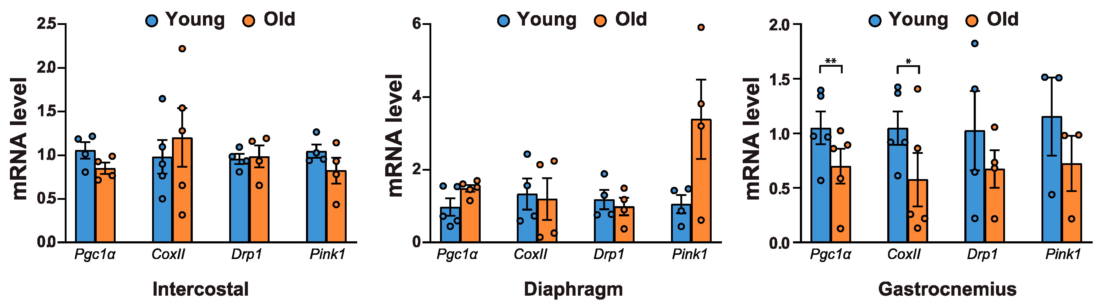 Ijms 21 02862 g005 Ijms 21 02862 g005