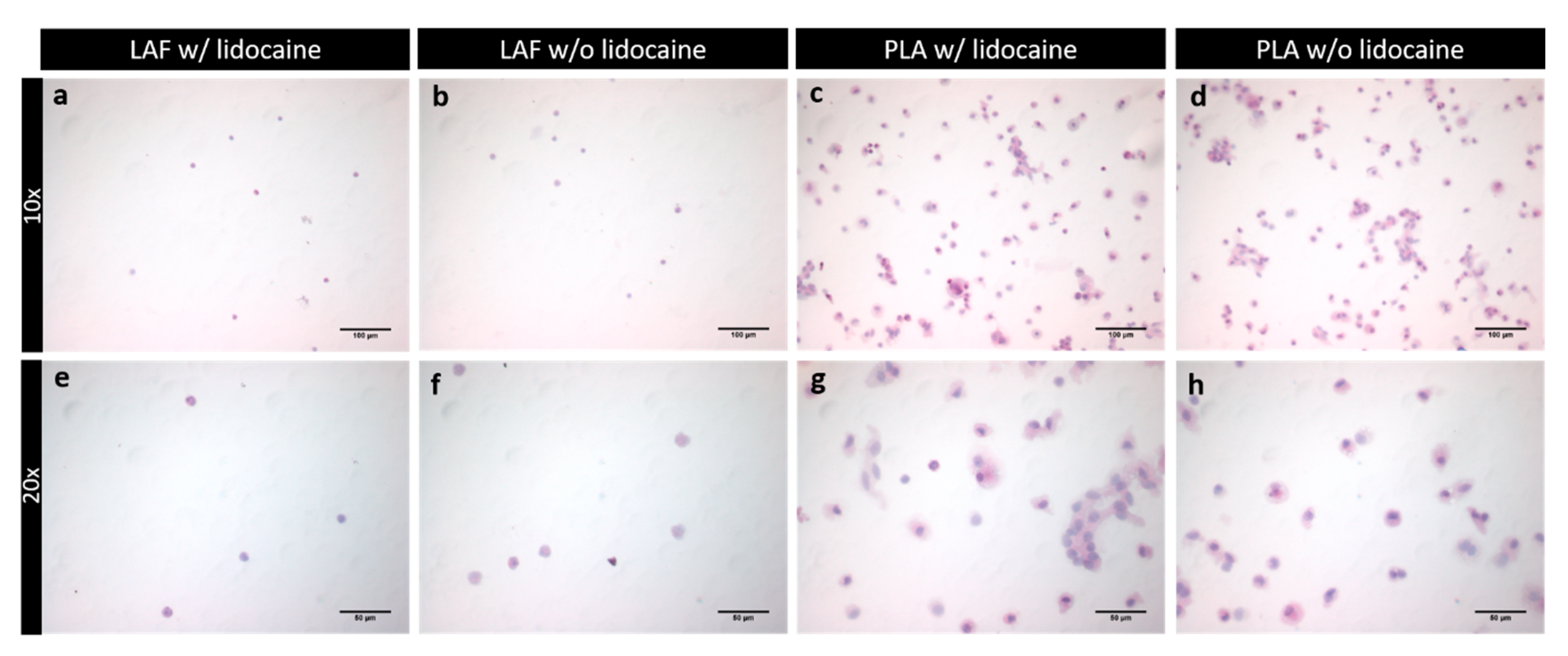 Ijms 21 02869 g002 Ijms 21 02869 g002