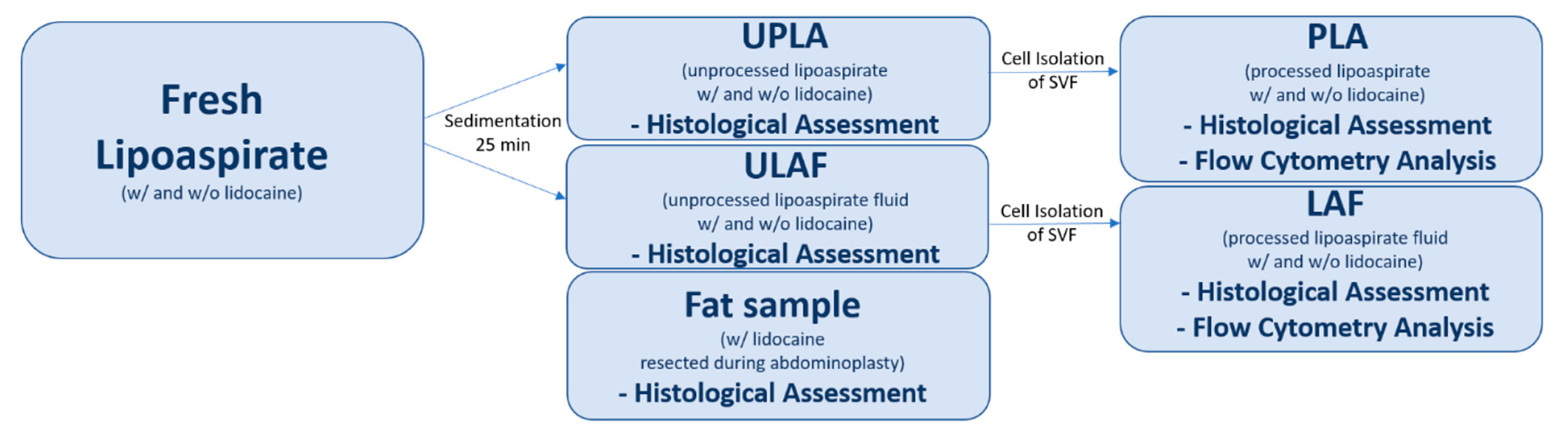 Ijms 21 02869 g008 Ijms 21 02869 g008