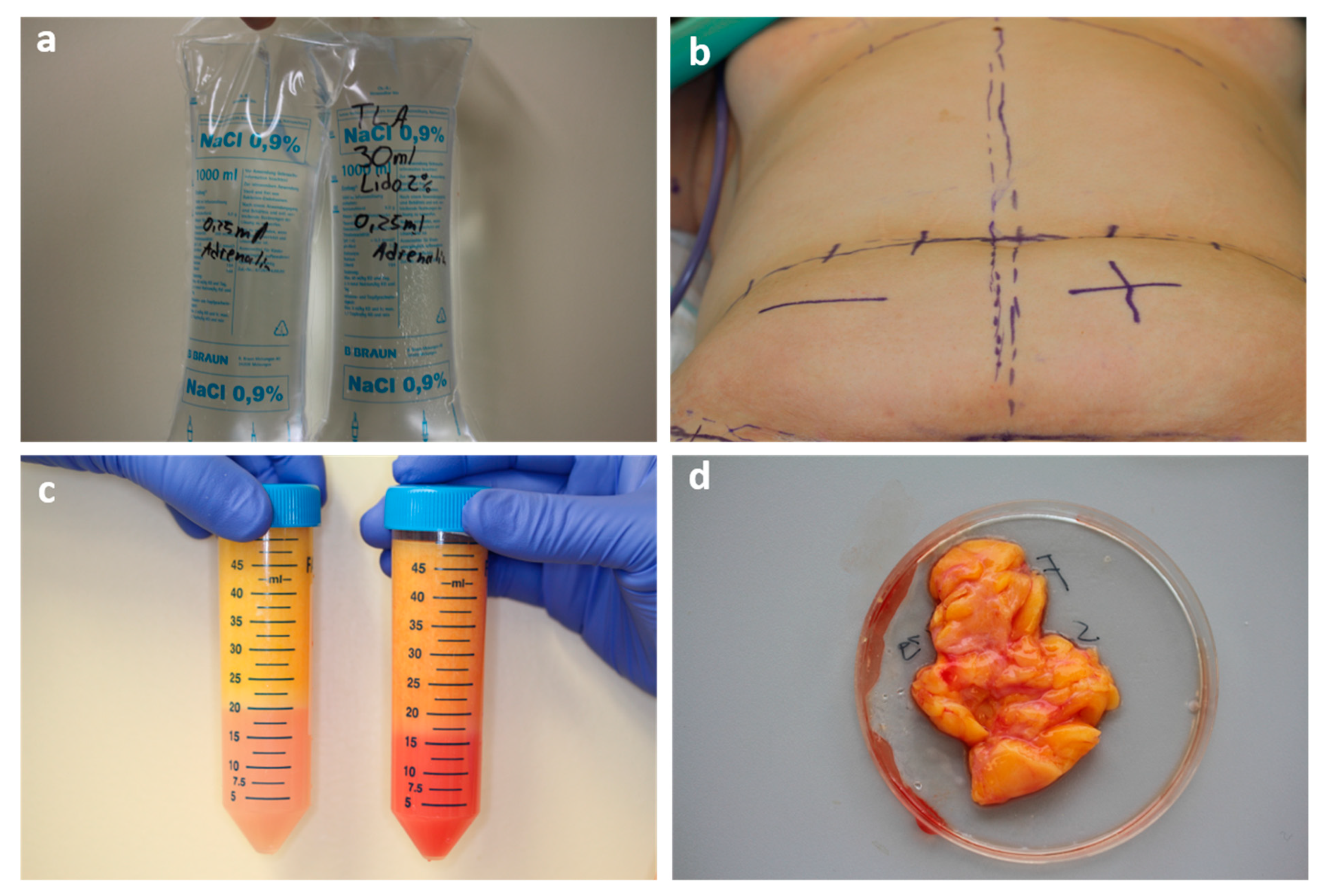 Ijms 21 02869 g009 Ijms 21 02869 g009