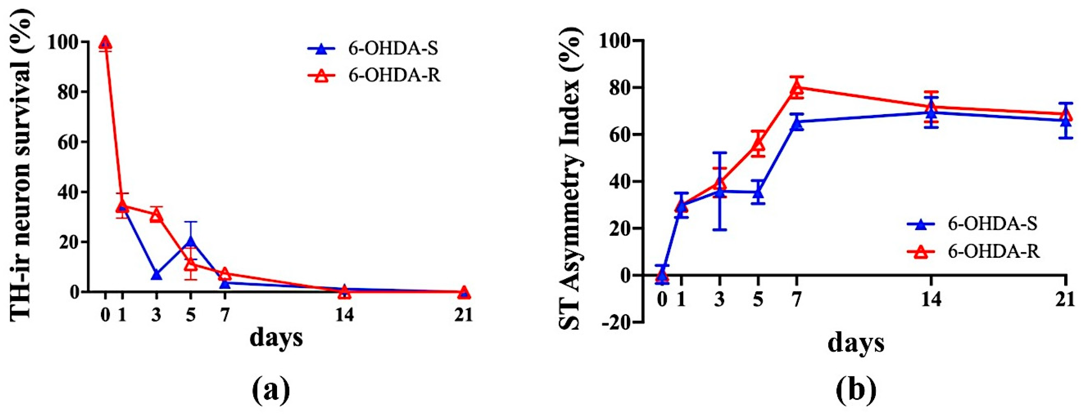 Ijms 21 02874 g004 Ijms 21 02874 g004