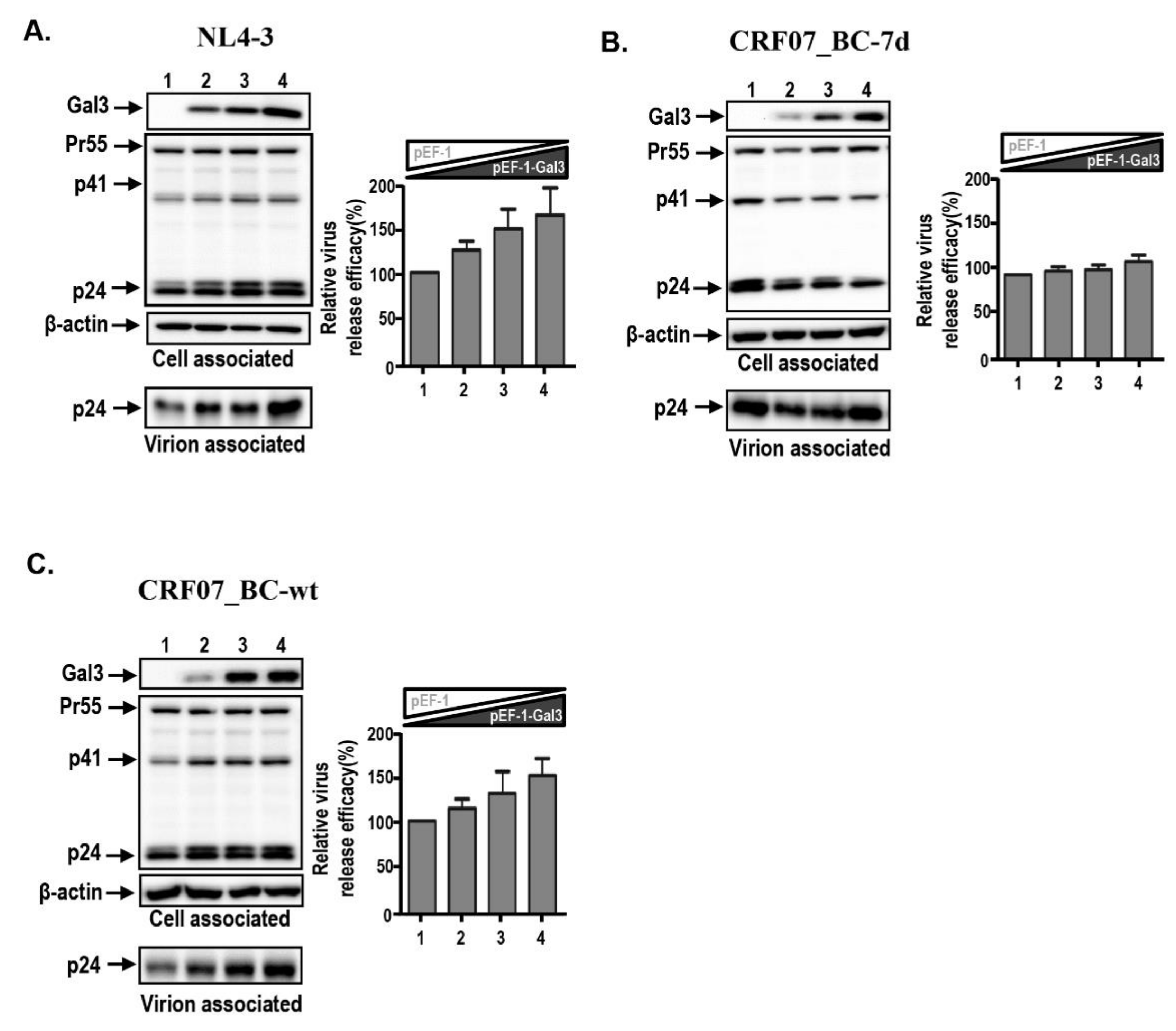 Ijms 21 02910 g003 Ijms 21 02910 g003