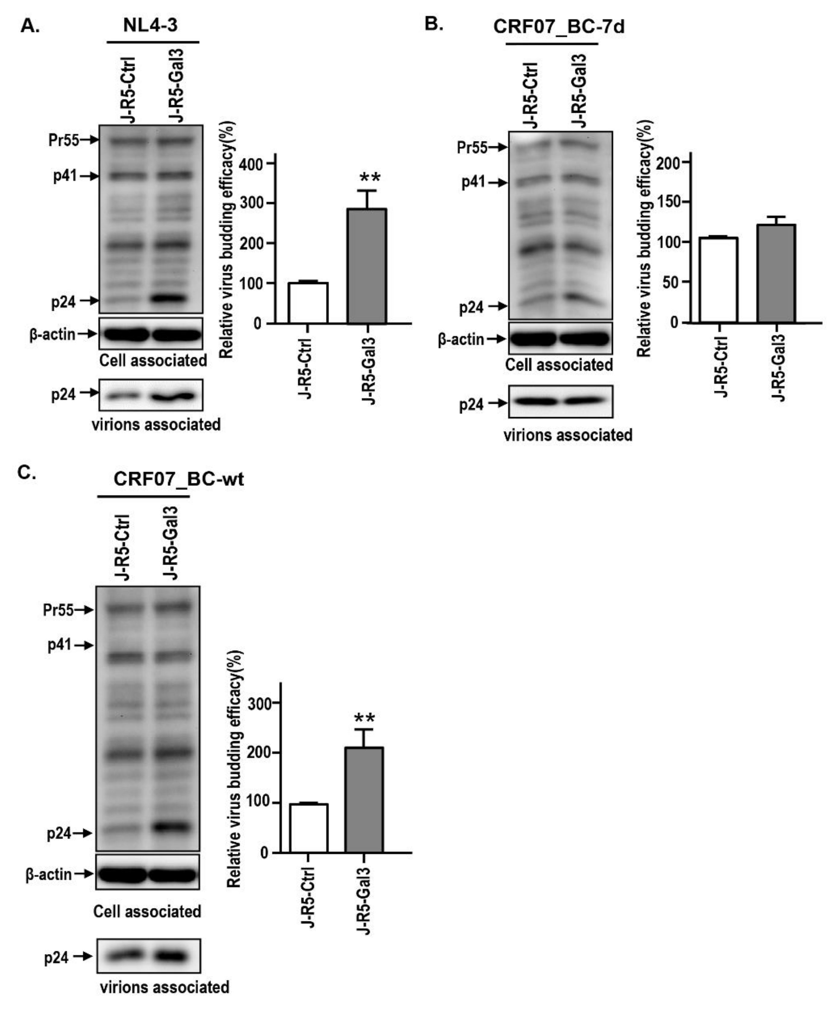 Ijms 21 02910 g004 Ijms 21 02910 g004