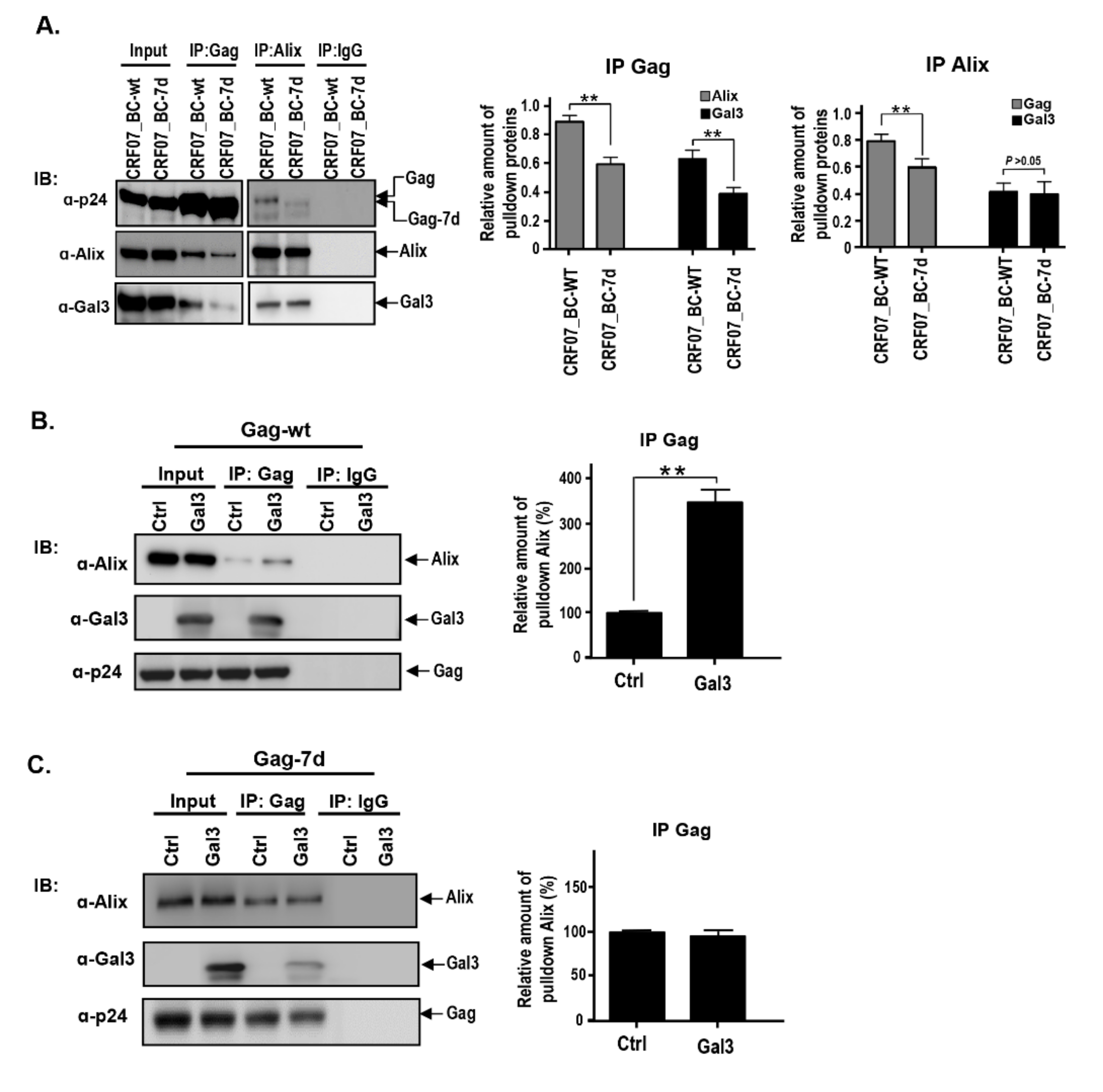 Ijms 21 02910 g005 Ijms 21 02910 g005
