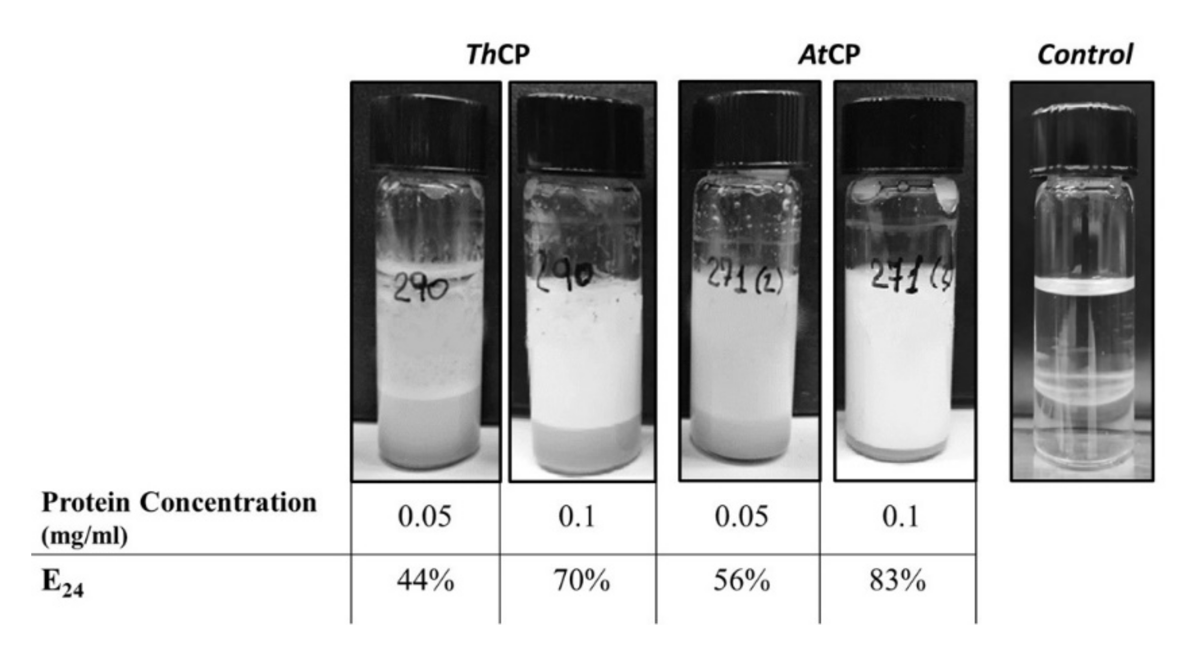 Ijms 21 02913 g002 Ijms 21 02913 g002