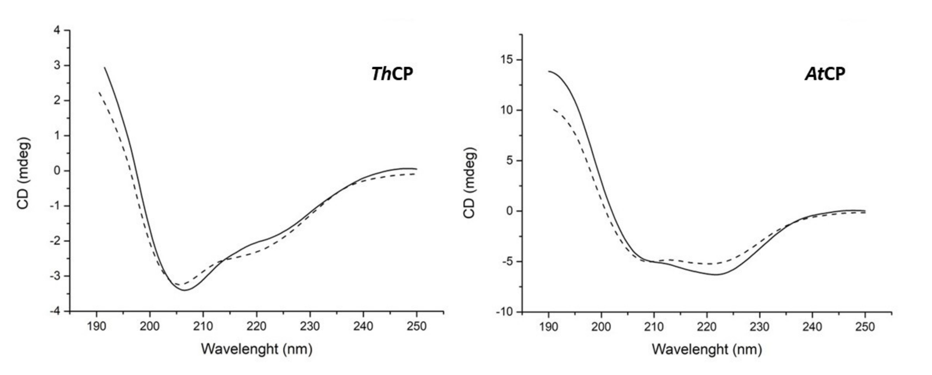 Ijms 21 02913 g003 Ijms 21 02913 g003