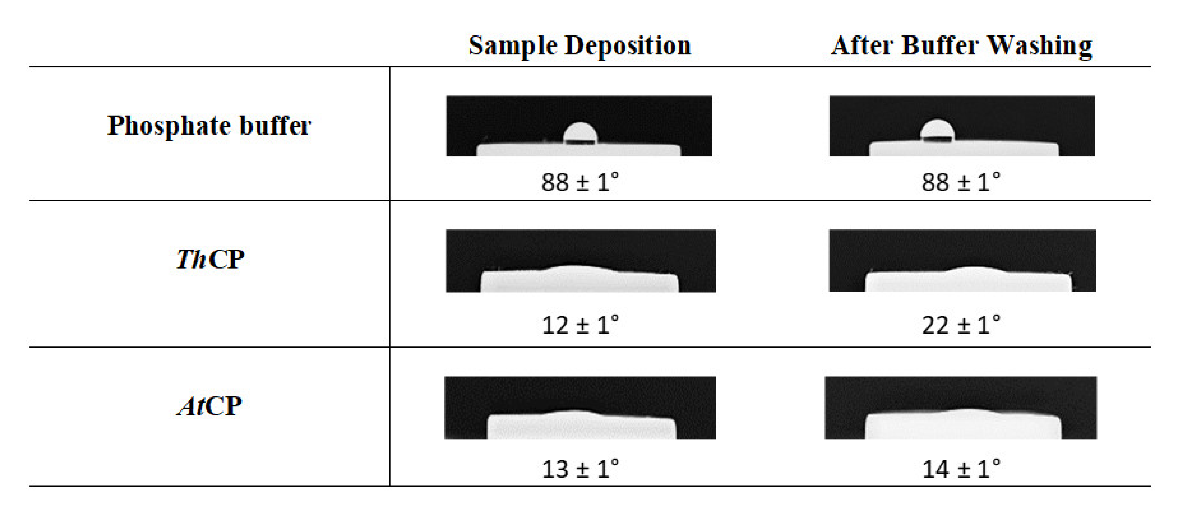 Ijms 21 02913 g006 Ijms 21 02913 g006