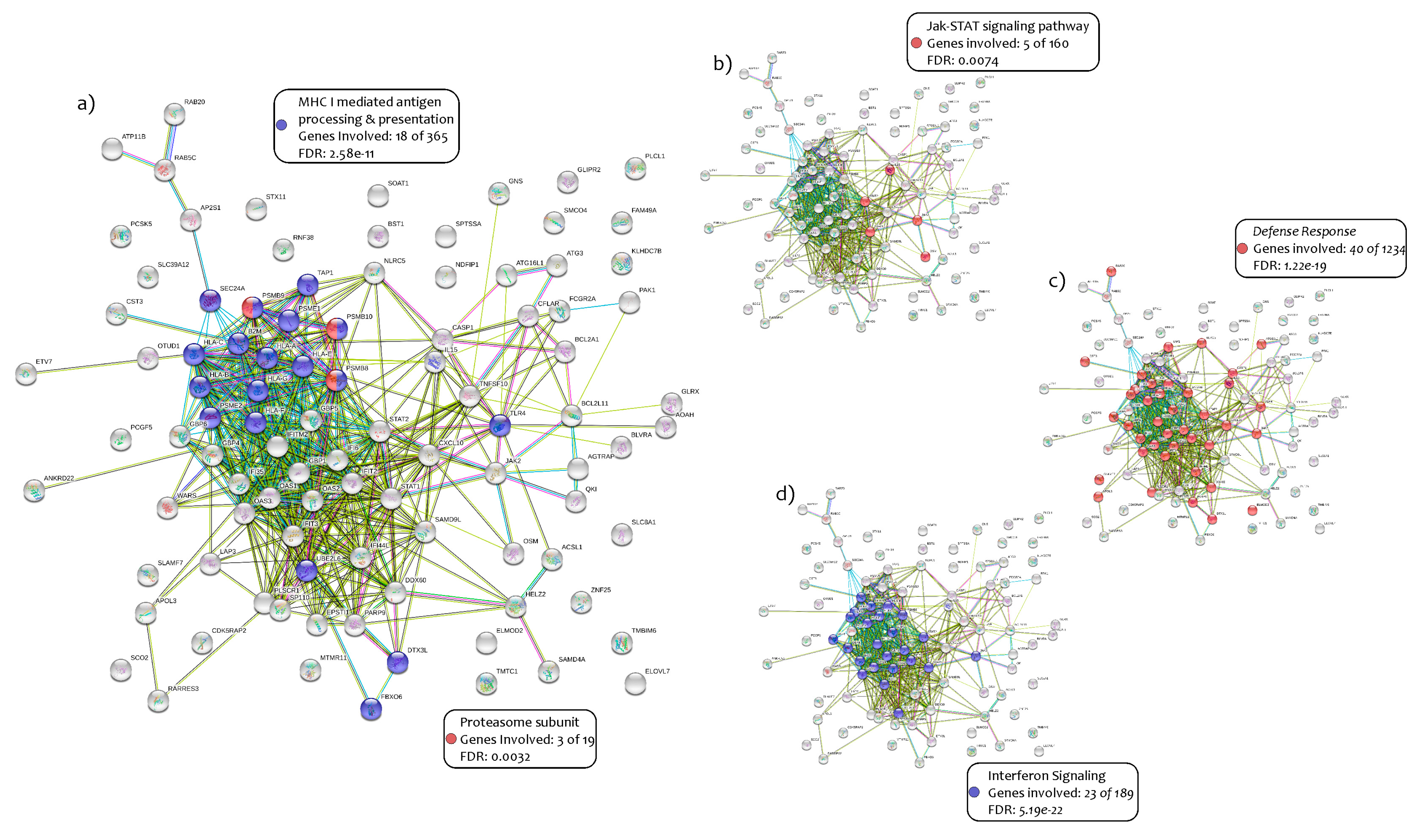 Ijms 21 02926 g001 Ijms 21 02926 g001