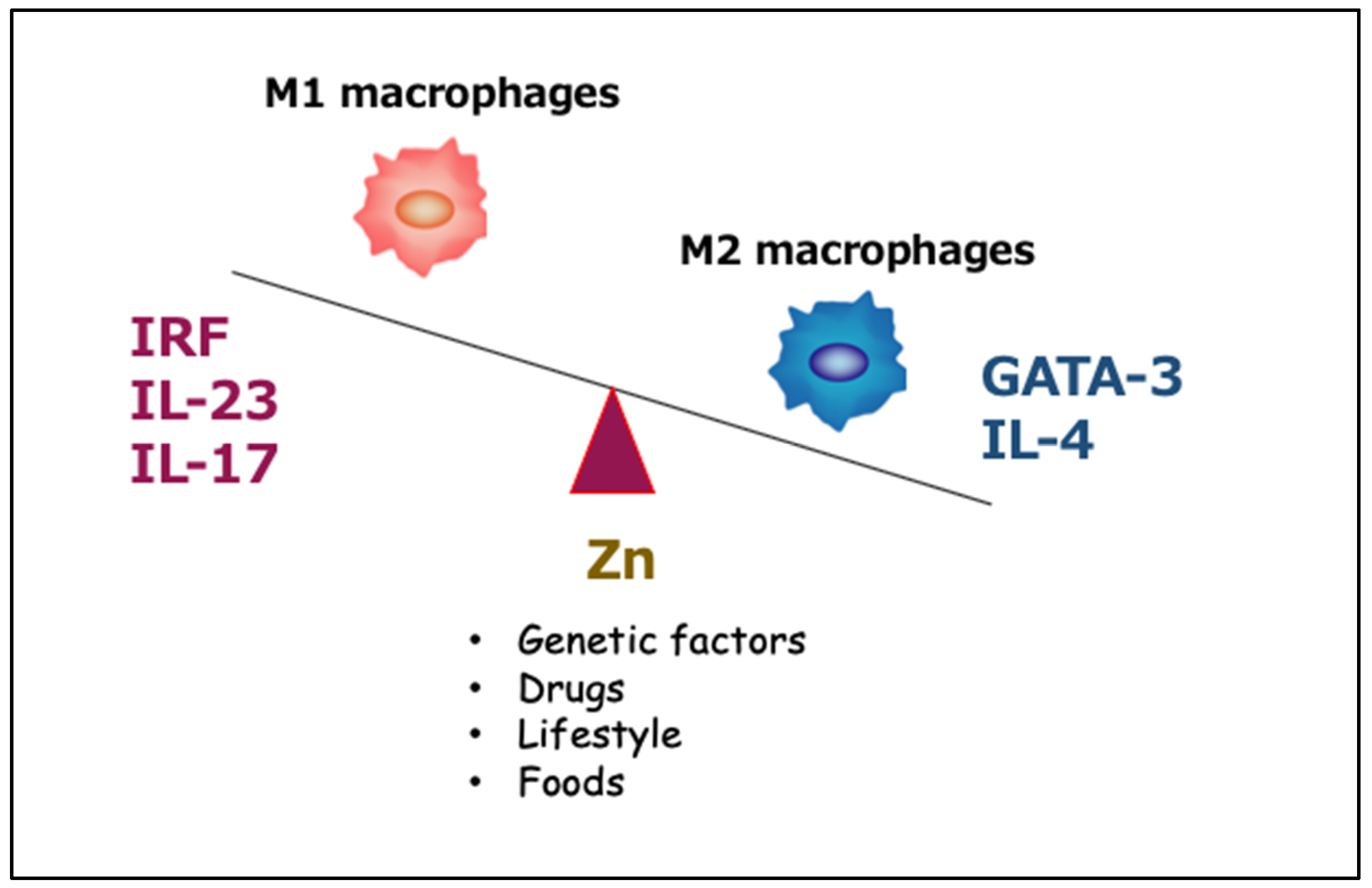 Ijms 21 02941 g005 Ijms 21 02941 g005