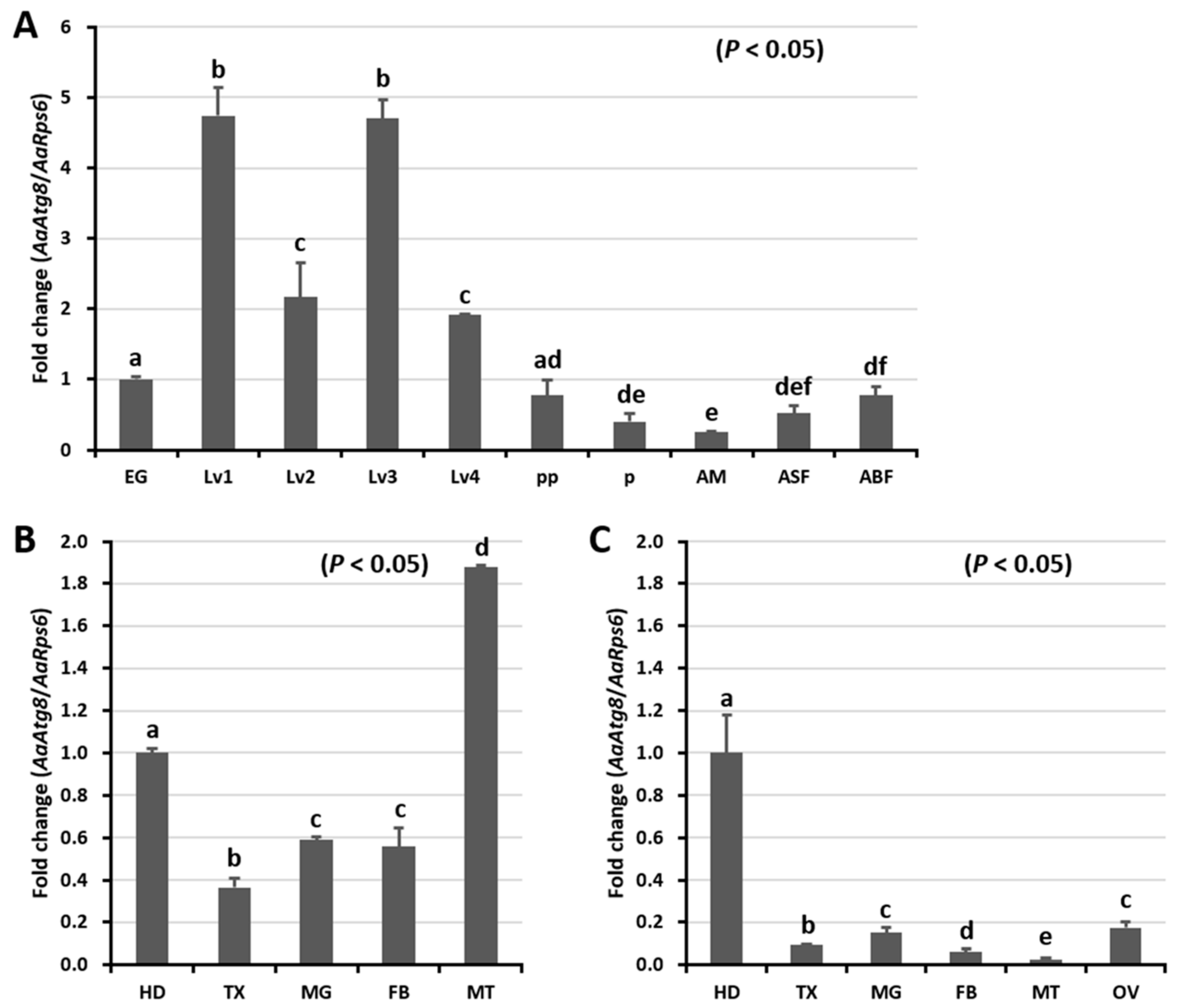 Ijms 21 02944 g003 Ijms 21 02944 g003