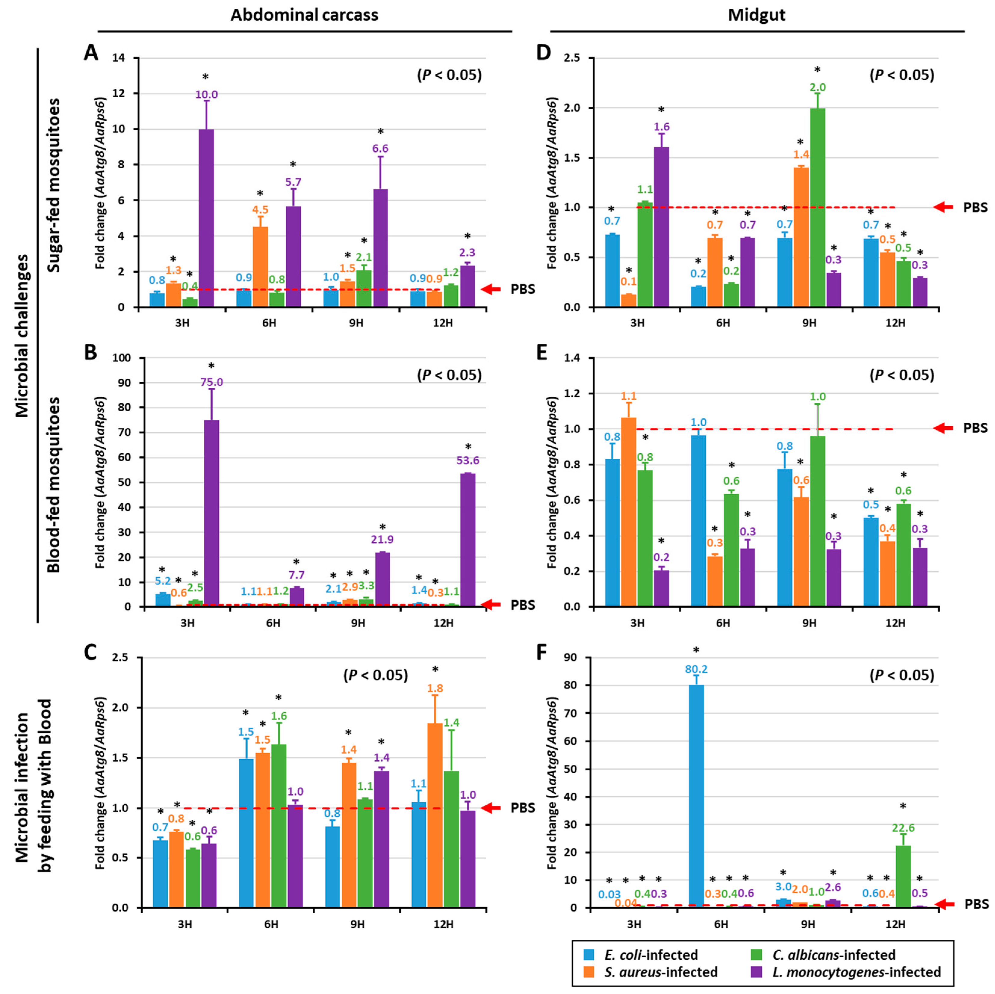 Ijms 21 02944 g004 Ijms 21 02944 g004