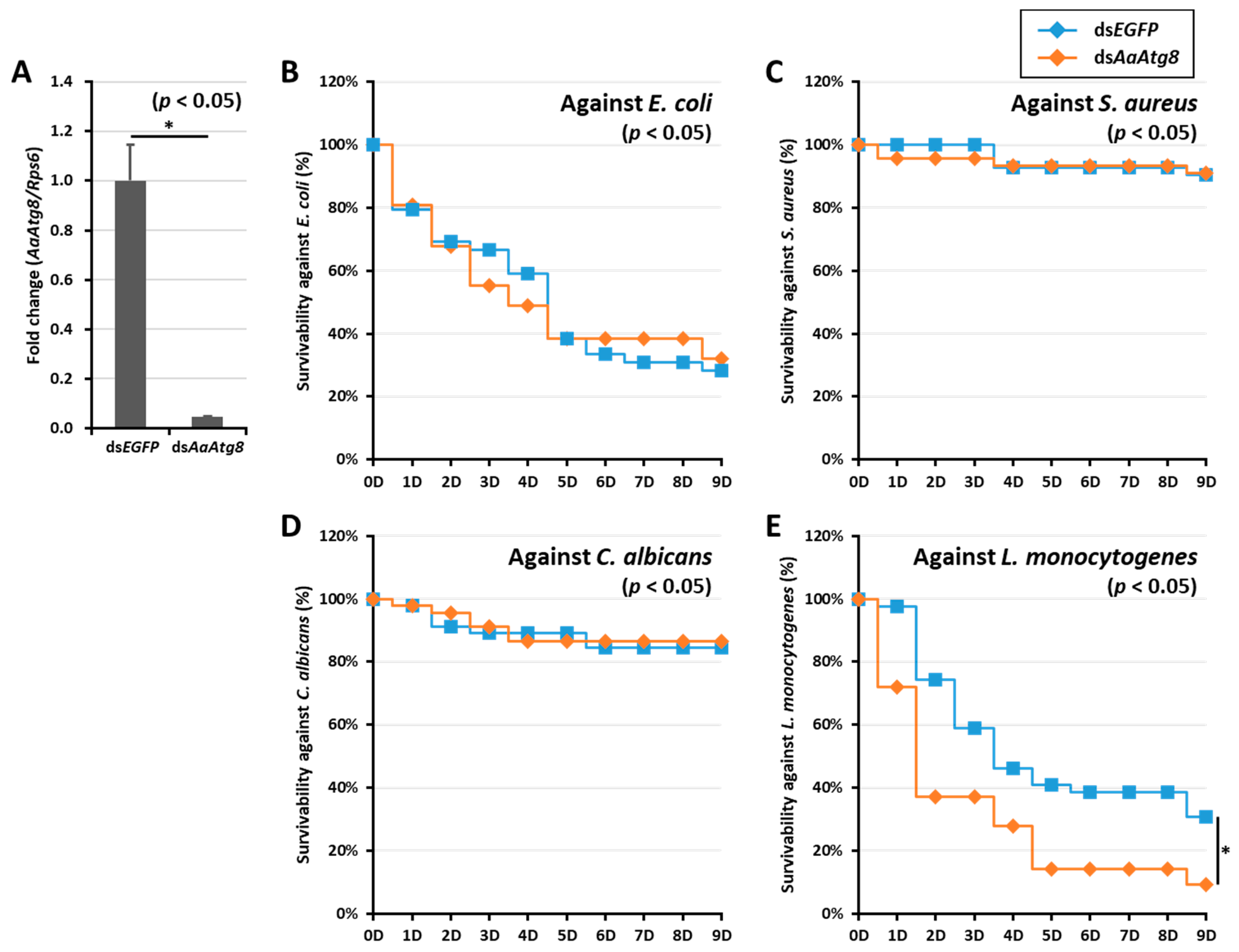 Ijms 21 02944 g005 Ijms 21 02944 g005