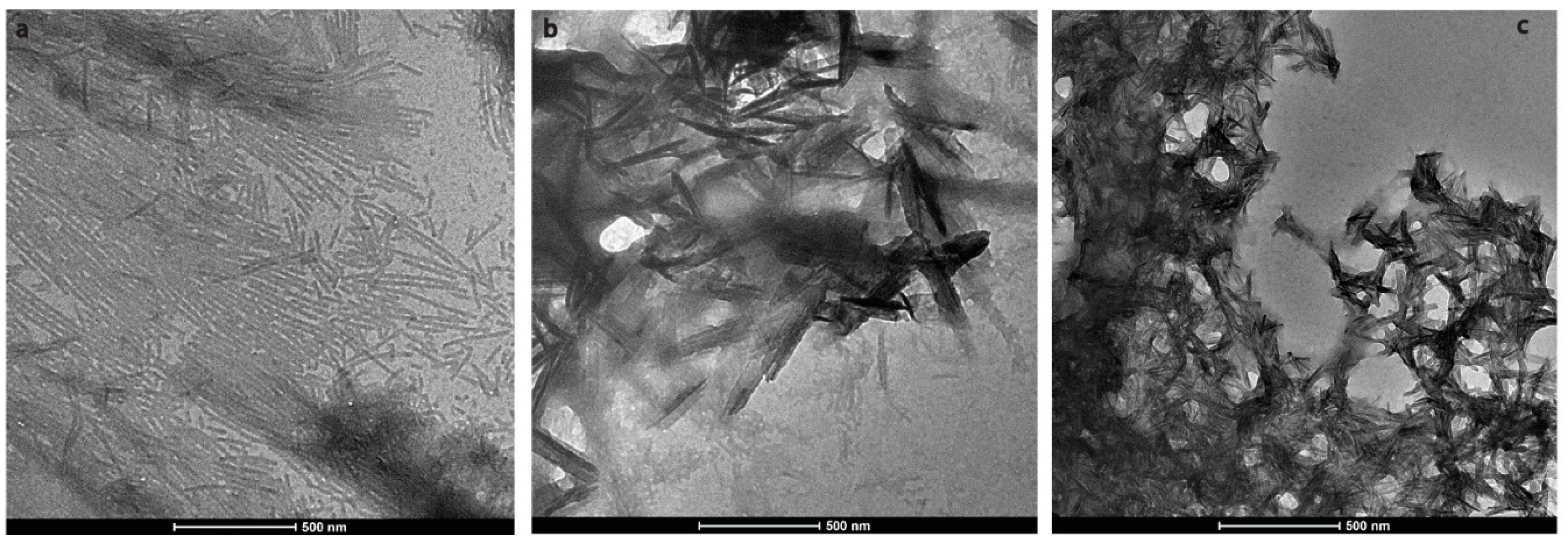 Ijms 21 02946 g003 Ijms 21 02946 g003