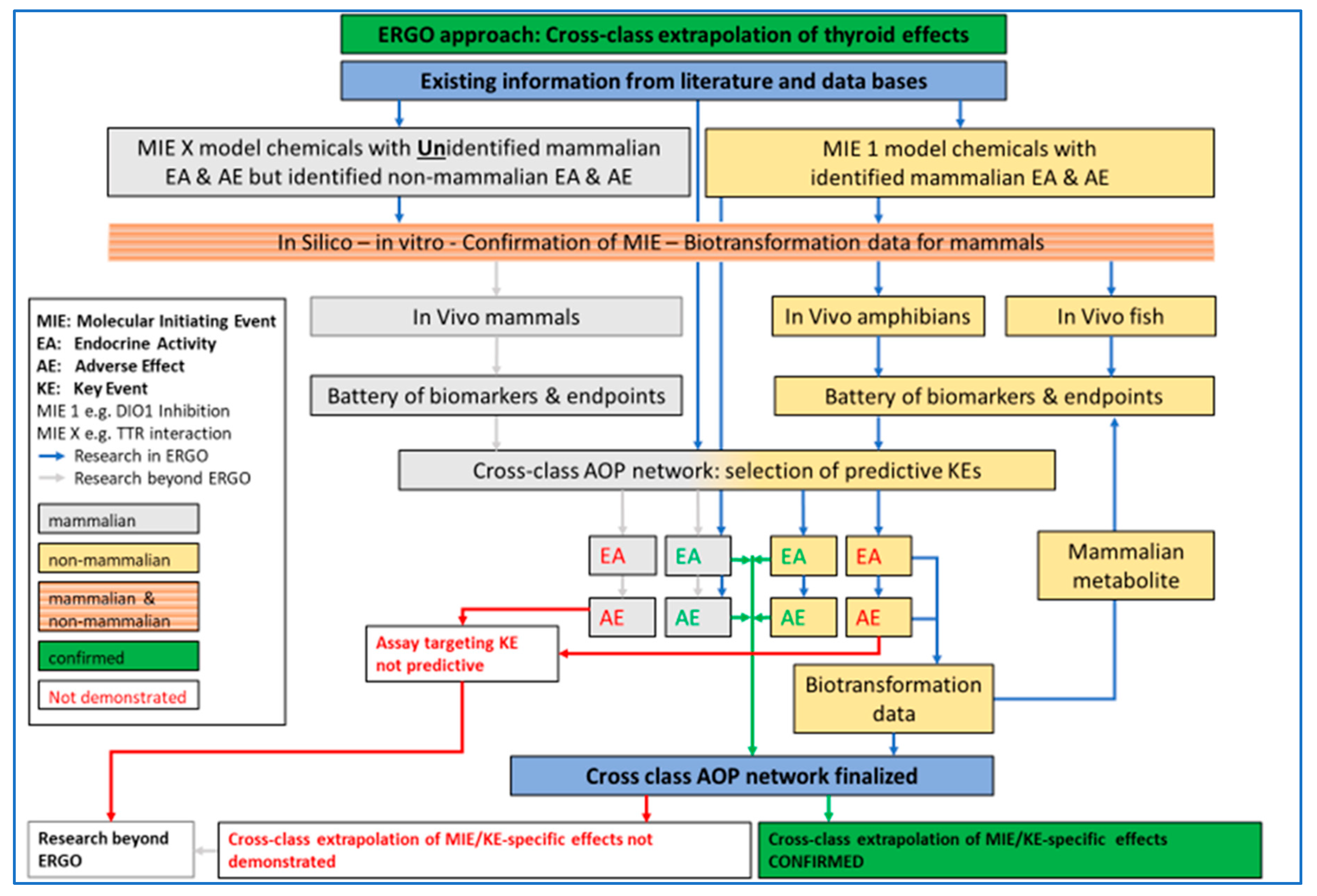 Ijms 21 02954 g001 Ijms 21 02954 g001