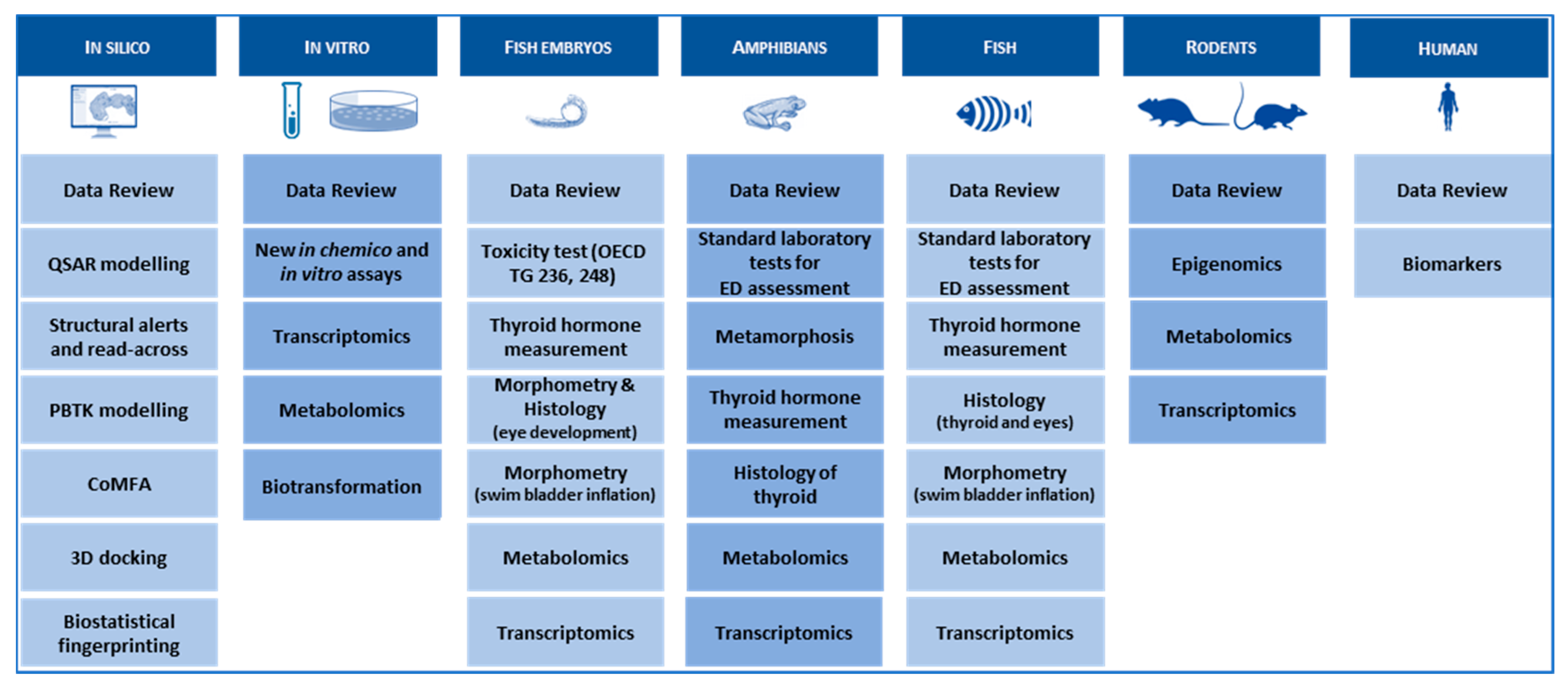 Ijms 21 02954 g004 Ijms 21 02954 g004