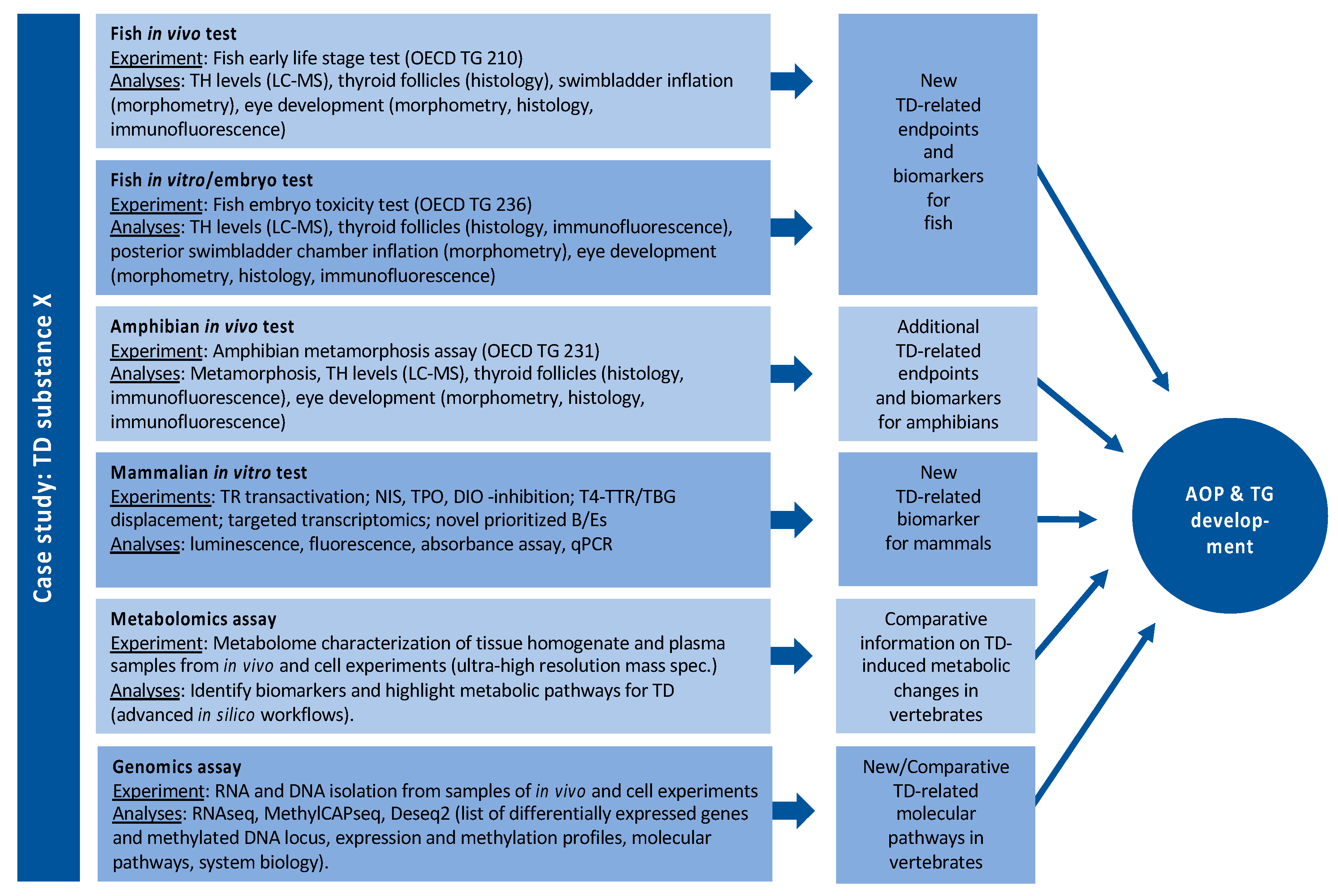 Ijms 21 02954 g005 Ijms 21 02954 g005