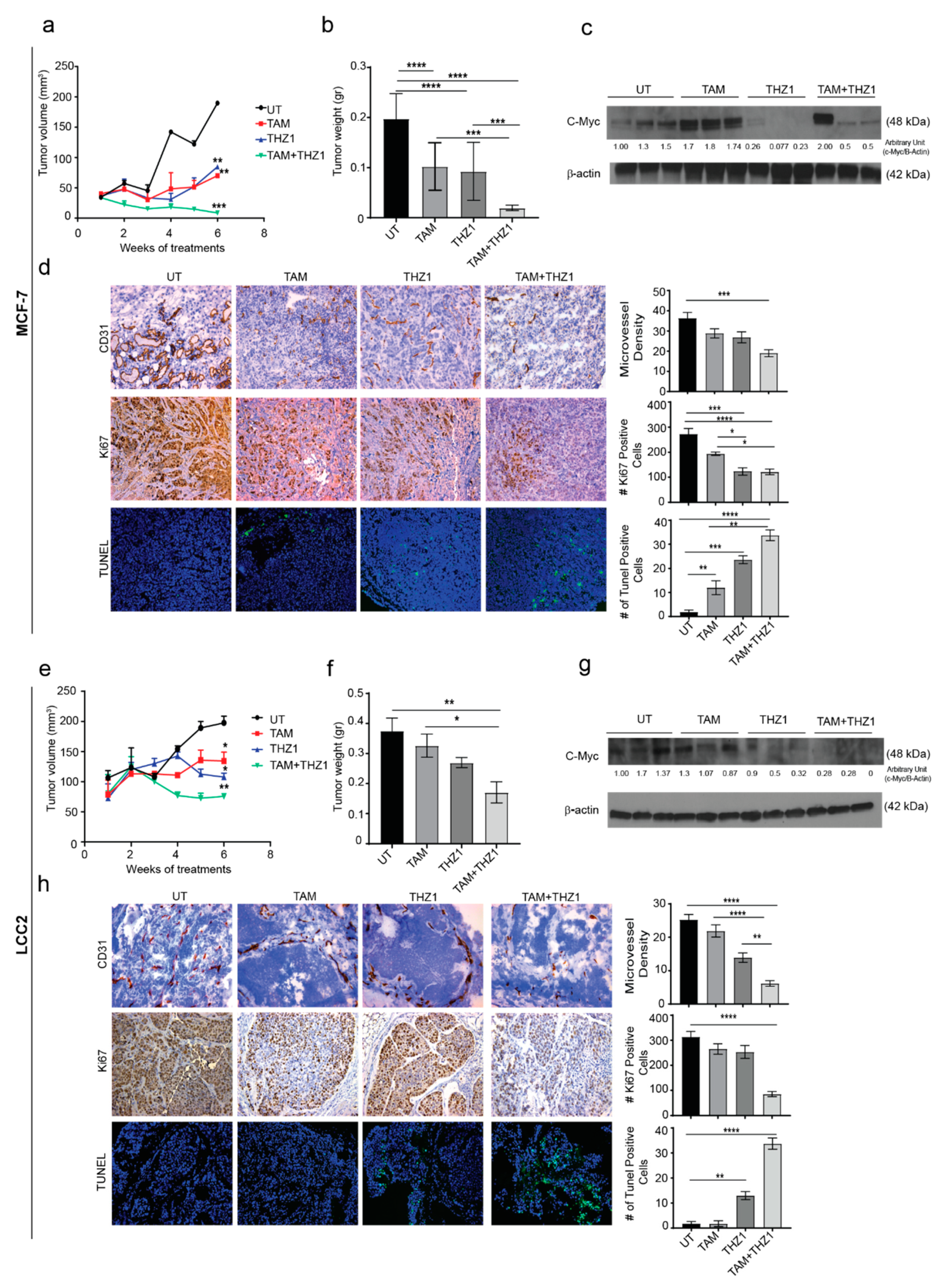 Ijms 21 02974 g005 Ijms 21 02974 g005