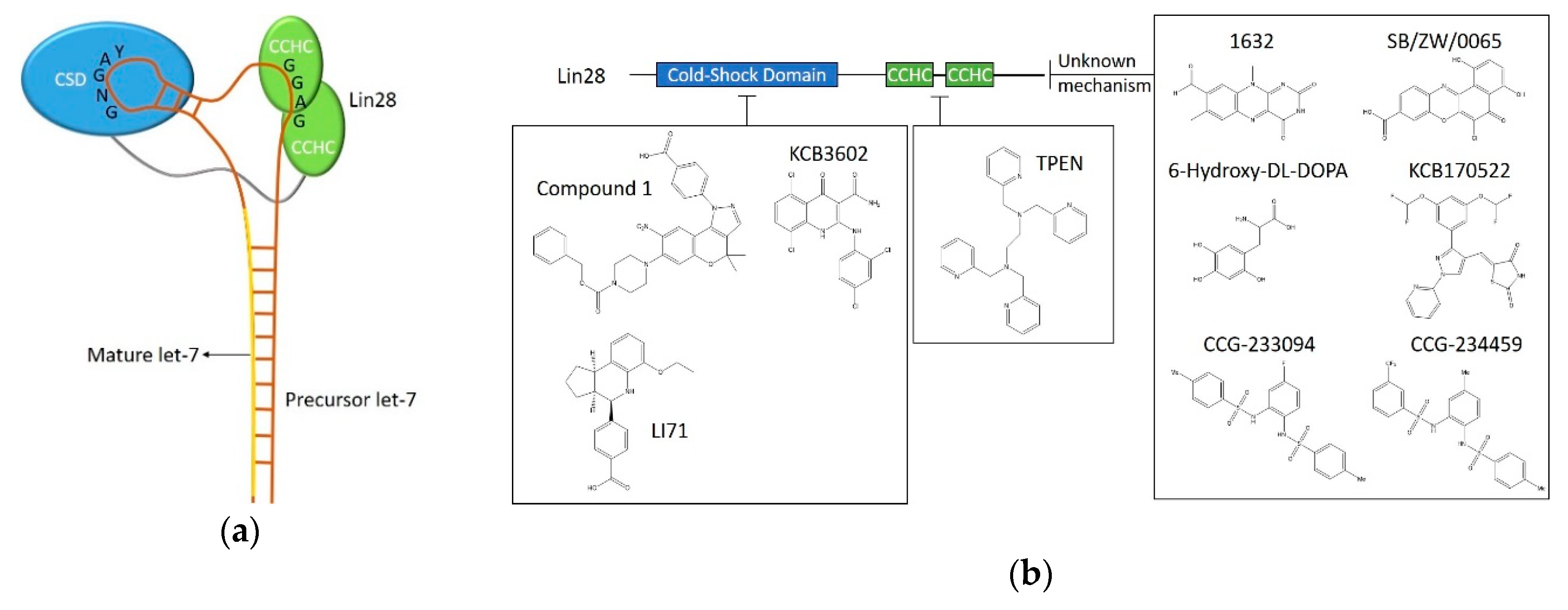 Ijms 21 02996 g001 Ijms 21 02996 g001