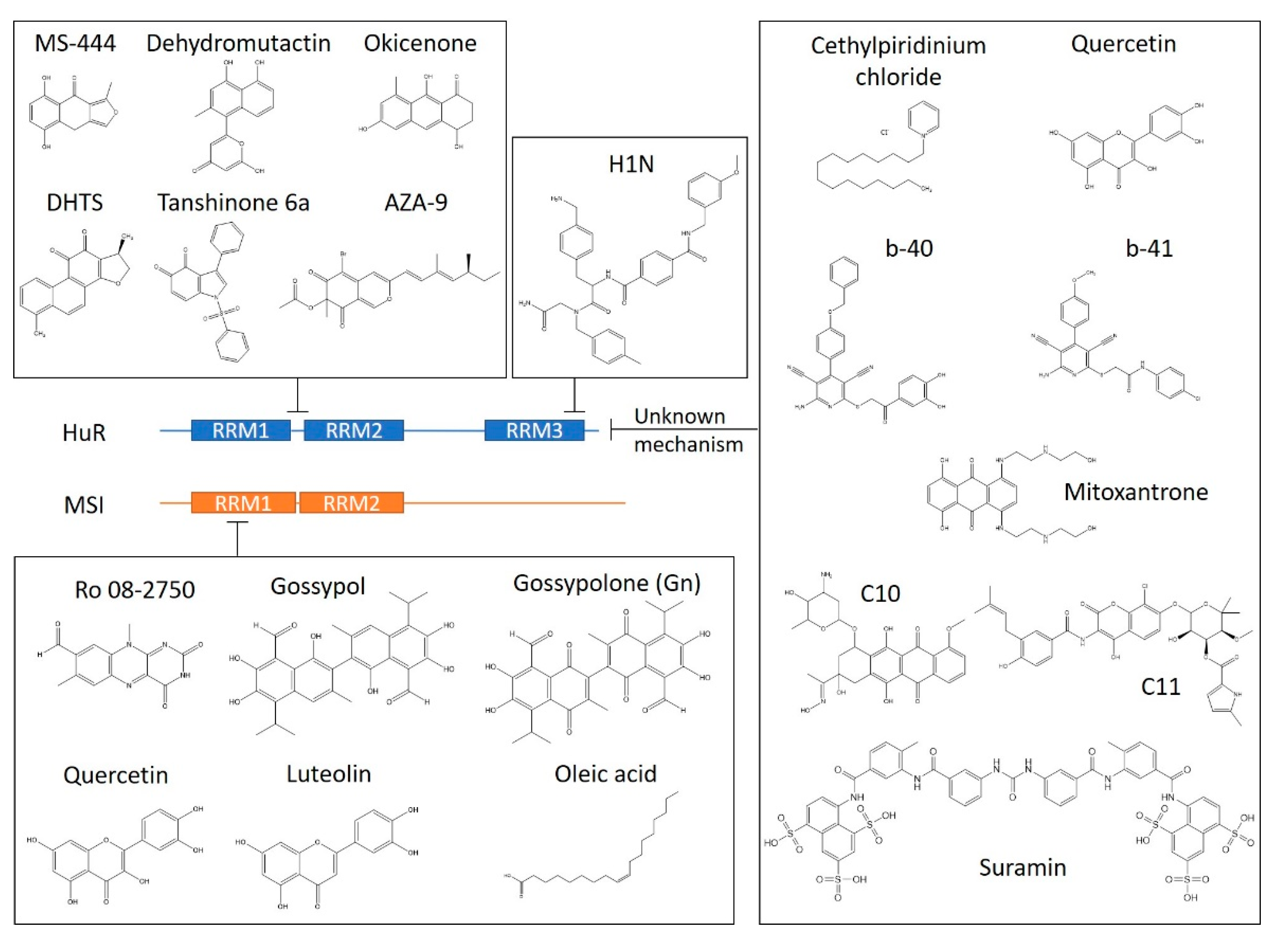 Ijms 21 02996 g003 Ijms 21 02996 g003