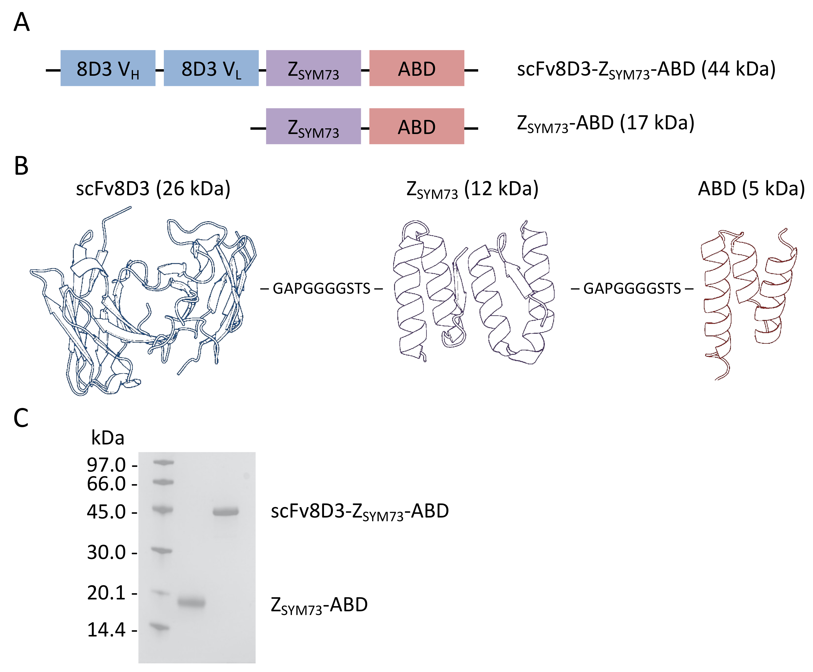 Ijms 21 02999 g001 Ijms 21 02999 g001
