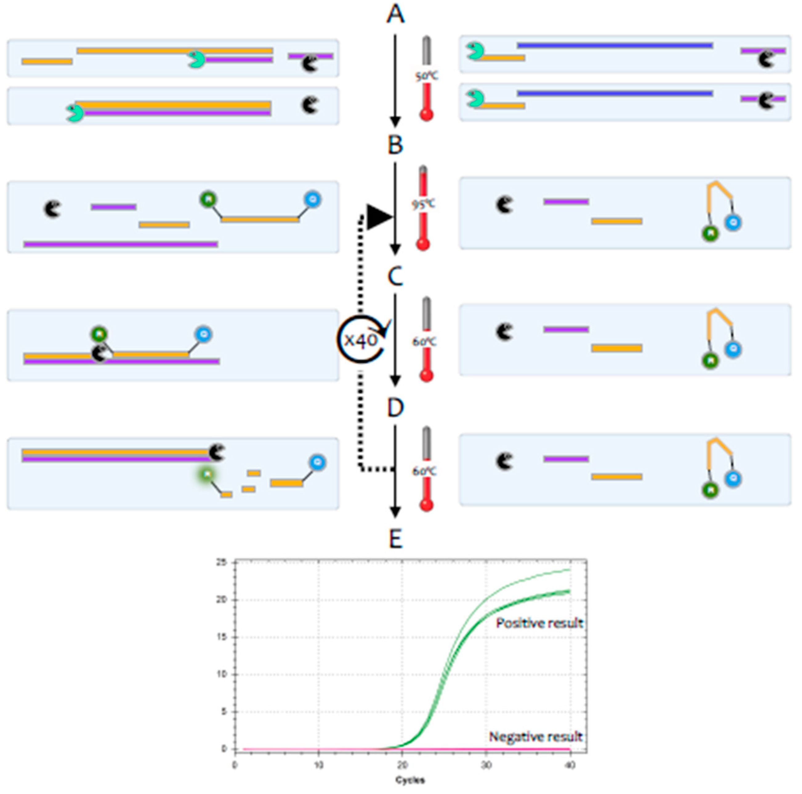 Ijms 21 03004 g002 Ijms 21 03004 g002