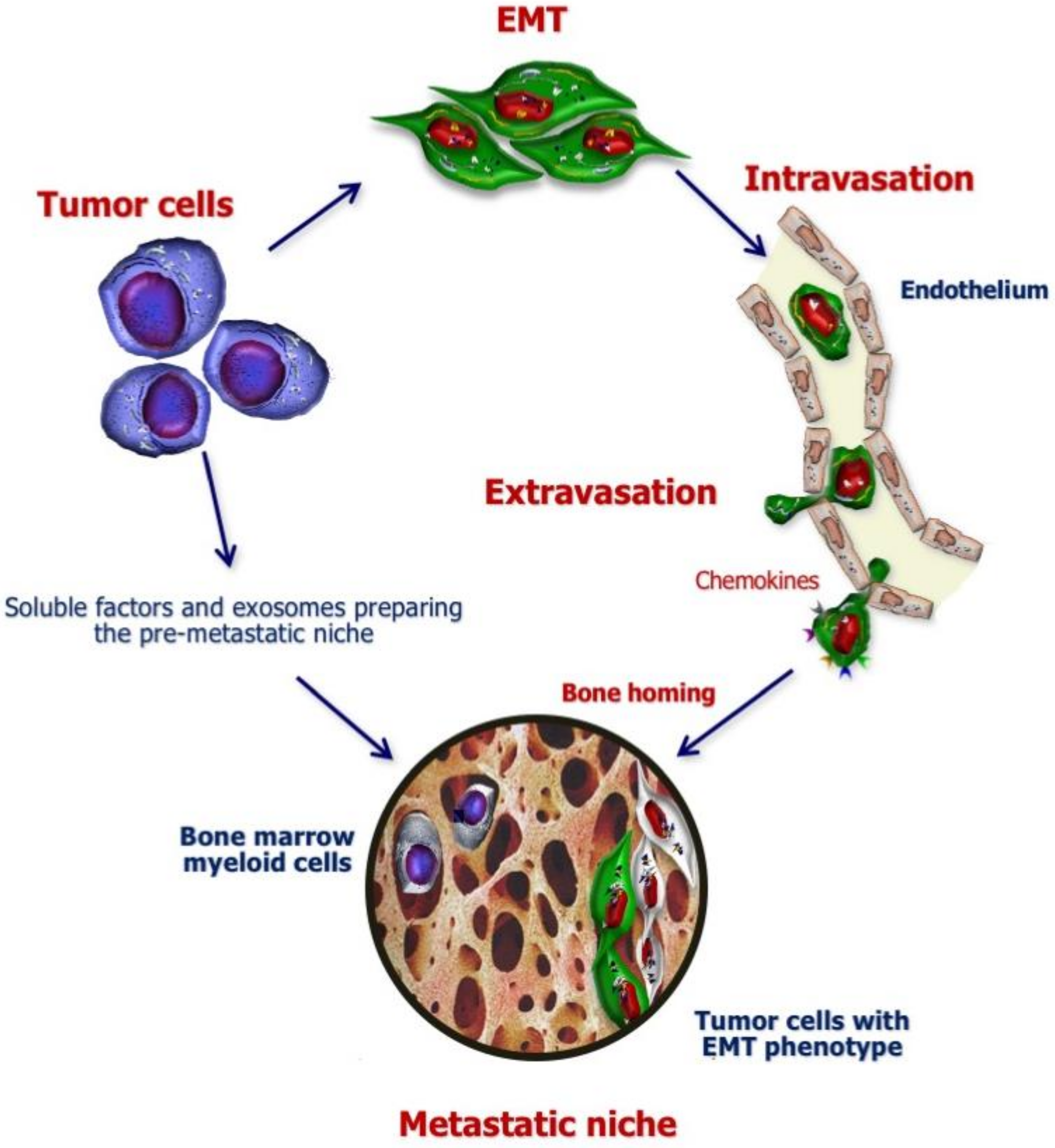 Ijms 21 03022 g001 Ijms 21 03022 g001