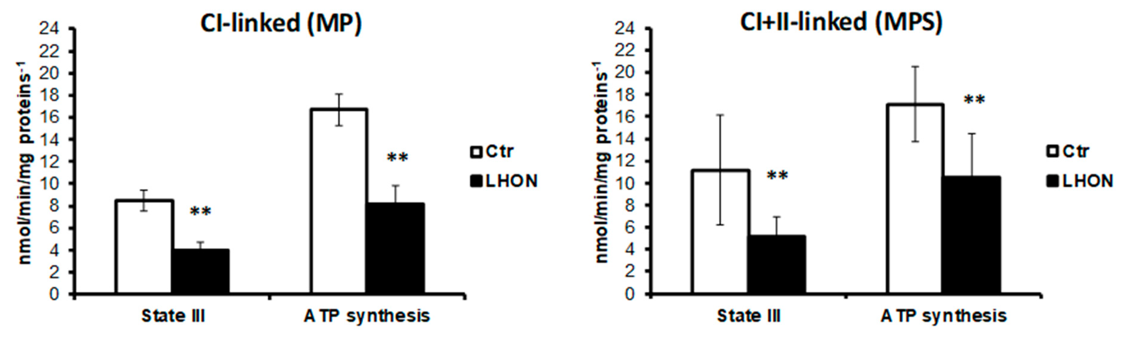 Ijms 21 03027 g003 Ijms 21 03027 g003
