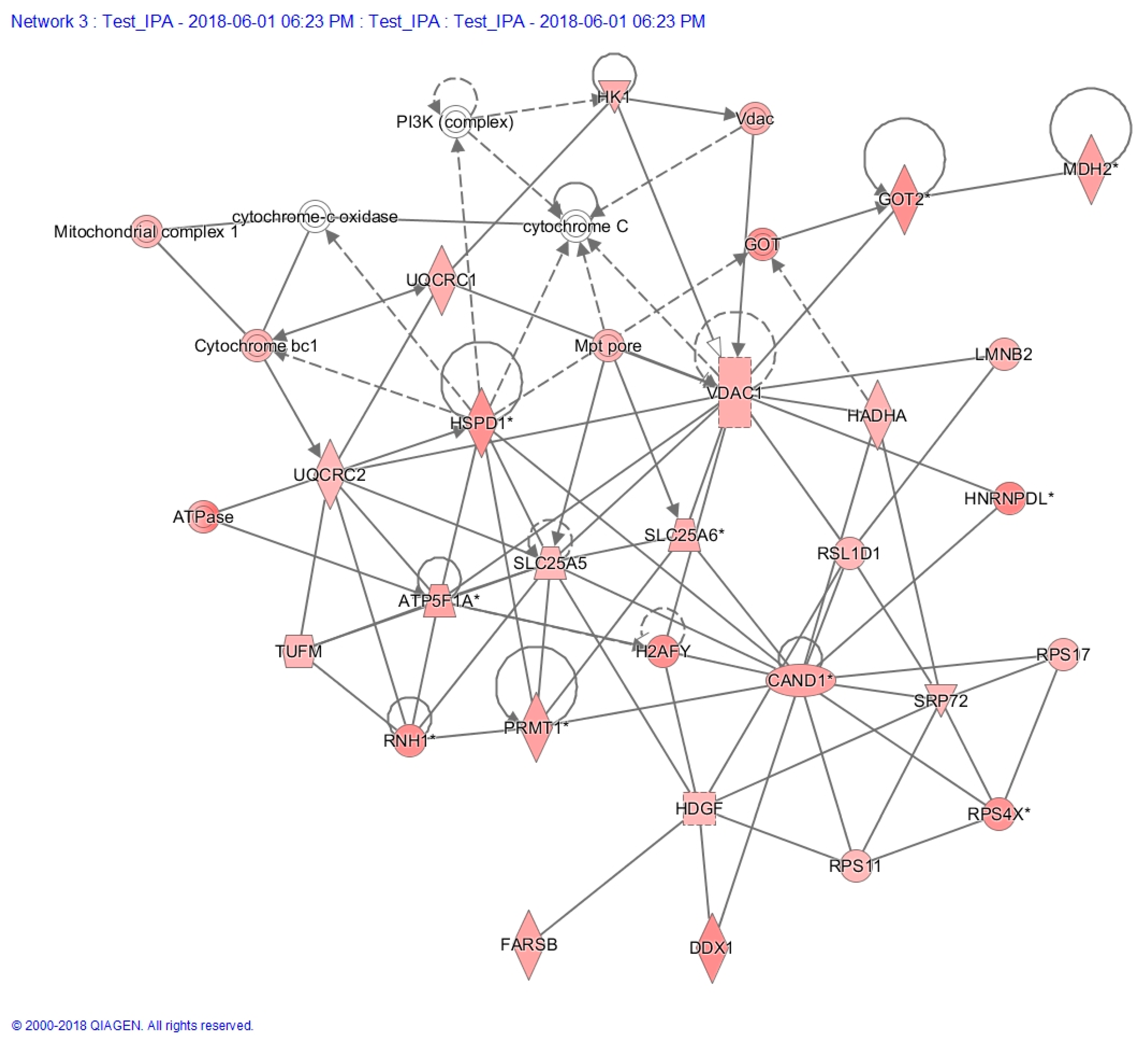 Ijms 21 03027 g005 Ijms 21 03027 g005