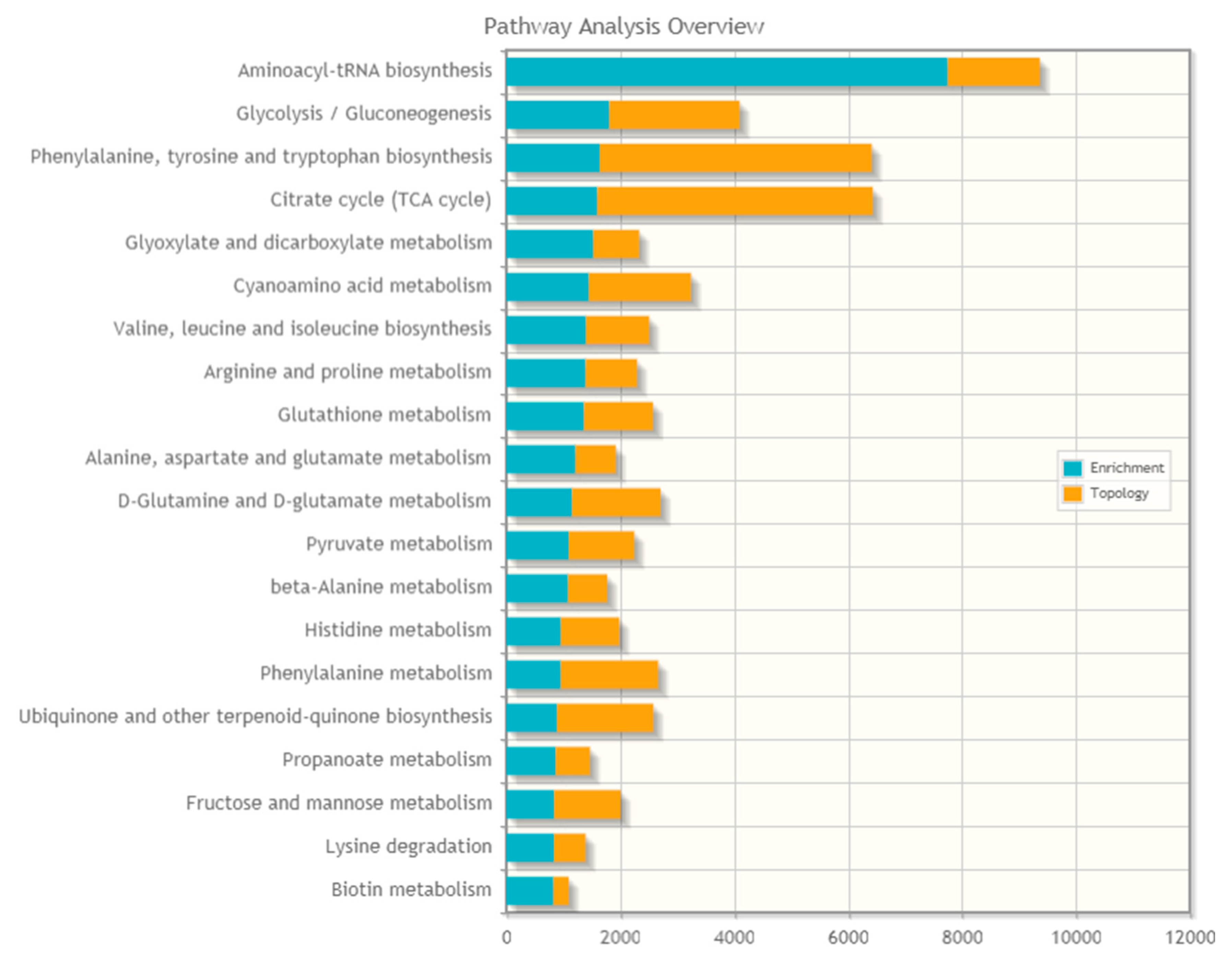 Ijms 21 03027 g008 Ijms 21 03027 g008