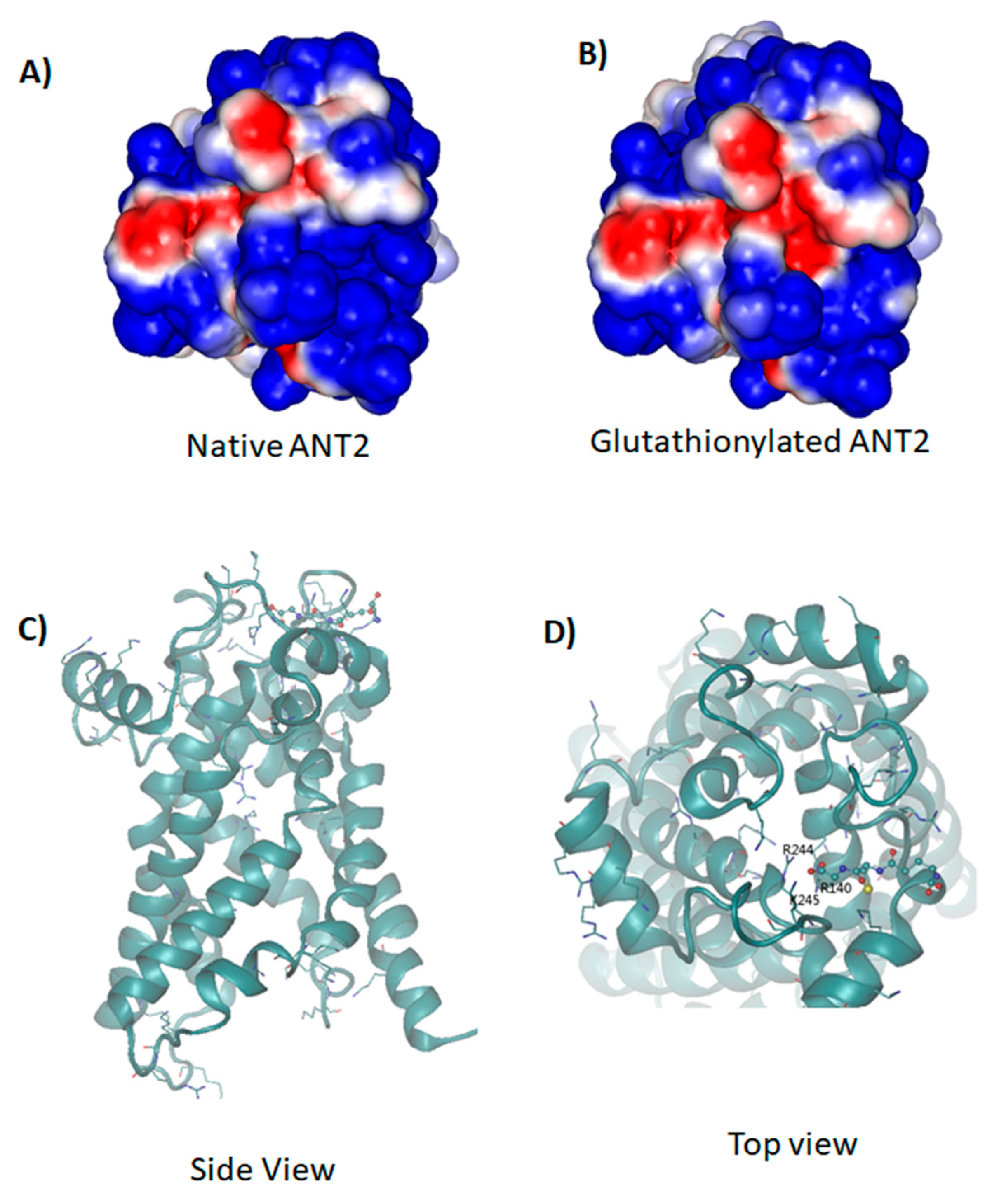 Ijms 21 03027 g009 Ijms 21 03027 g009