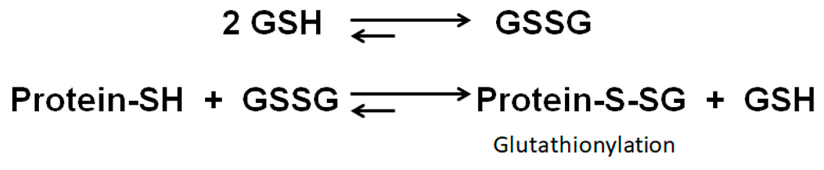 Ijms 21 03027 g010 Ijms 21 03027 g010