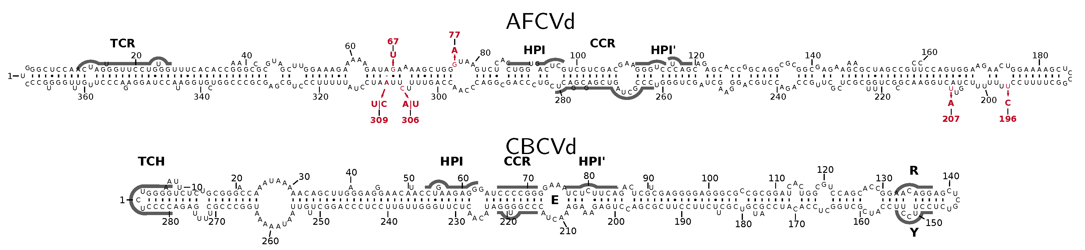 Ijms 21 03029 g001 Ijms 21 03029 g001