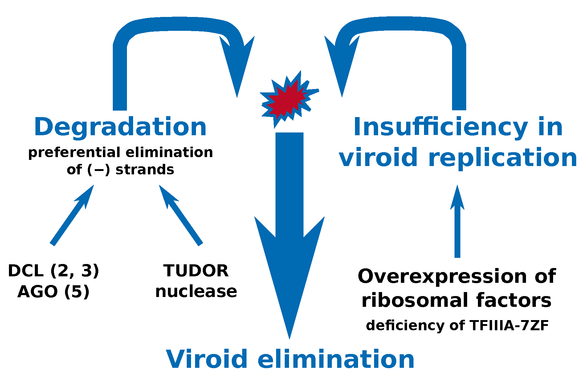 Ijms 21 03029 g008 Ijms 21 03029 g008