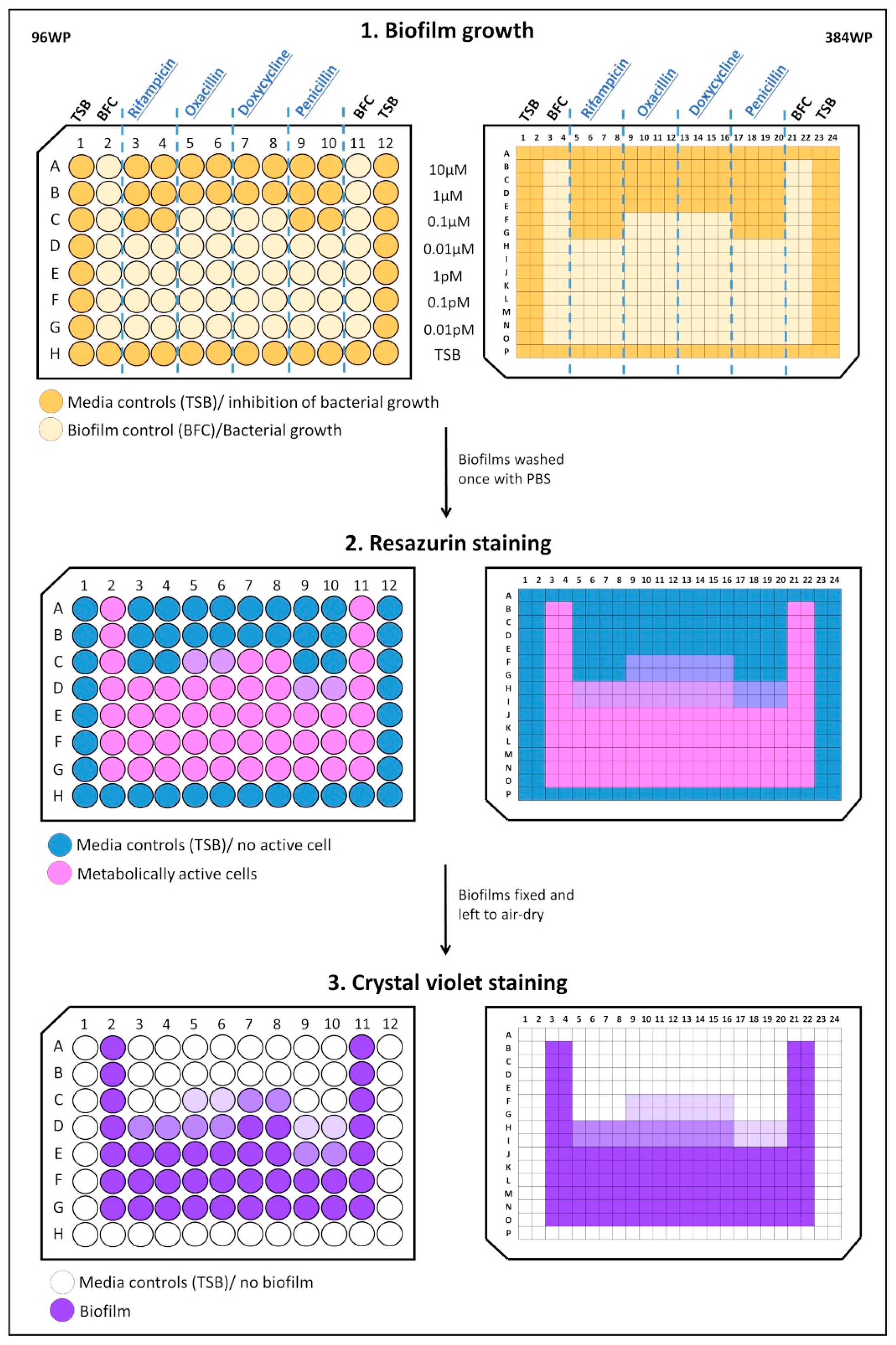 Ijms 21 03034 sch001