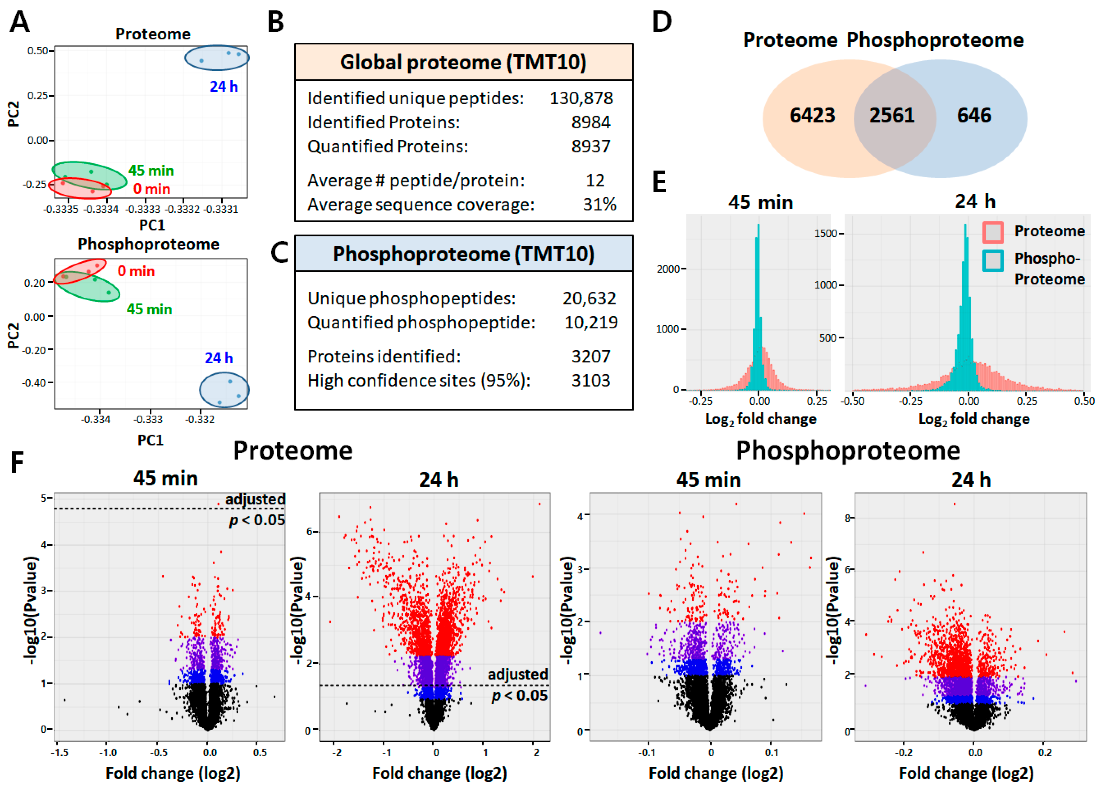 Ijms 21 03037 g002 Ijms 21 03037 g002