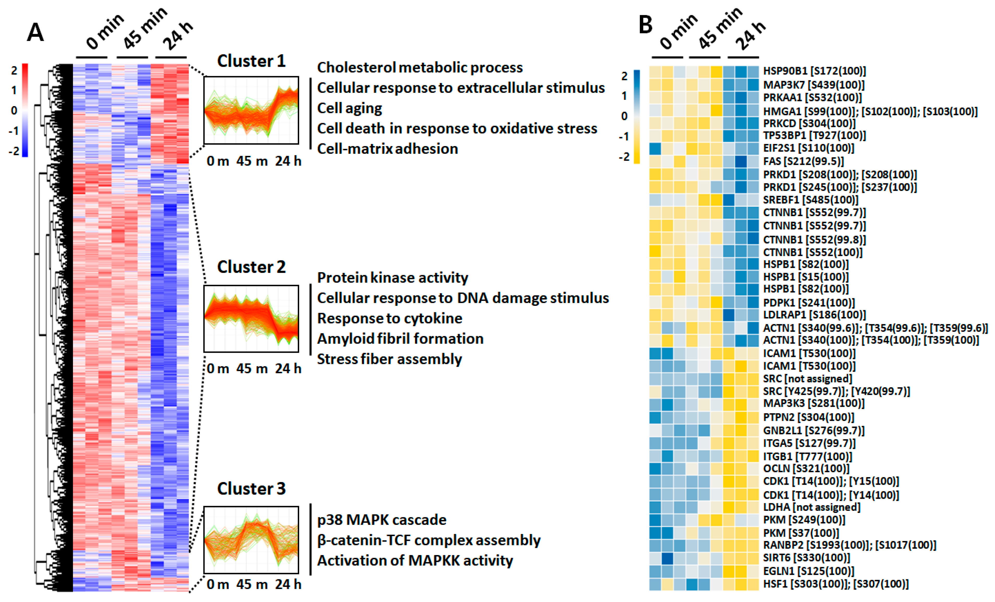 Ijms 21 03037 g004 Ijms 21 03037 g004
