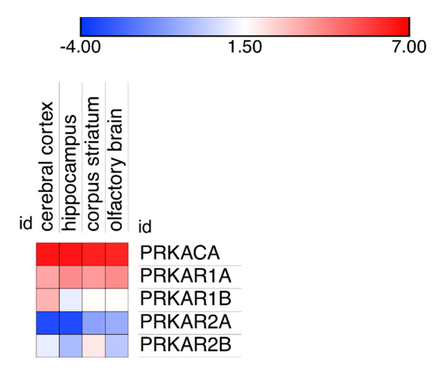 Ijms 21 03051 g005 Ijms 21 03051 g005