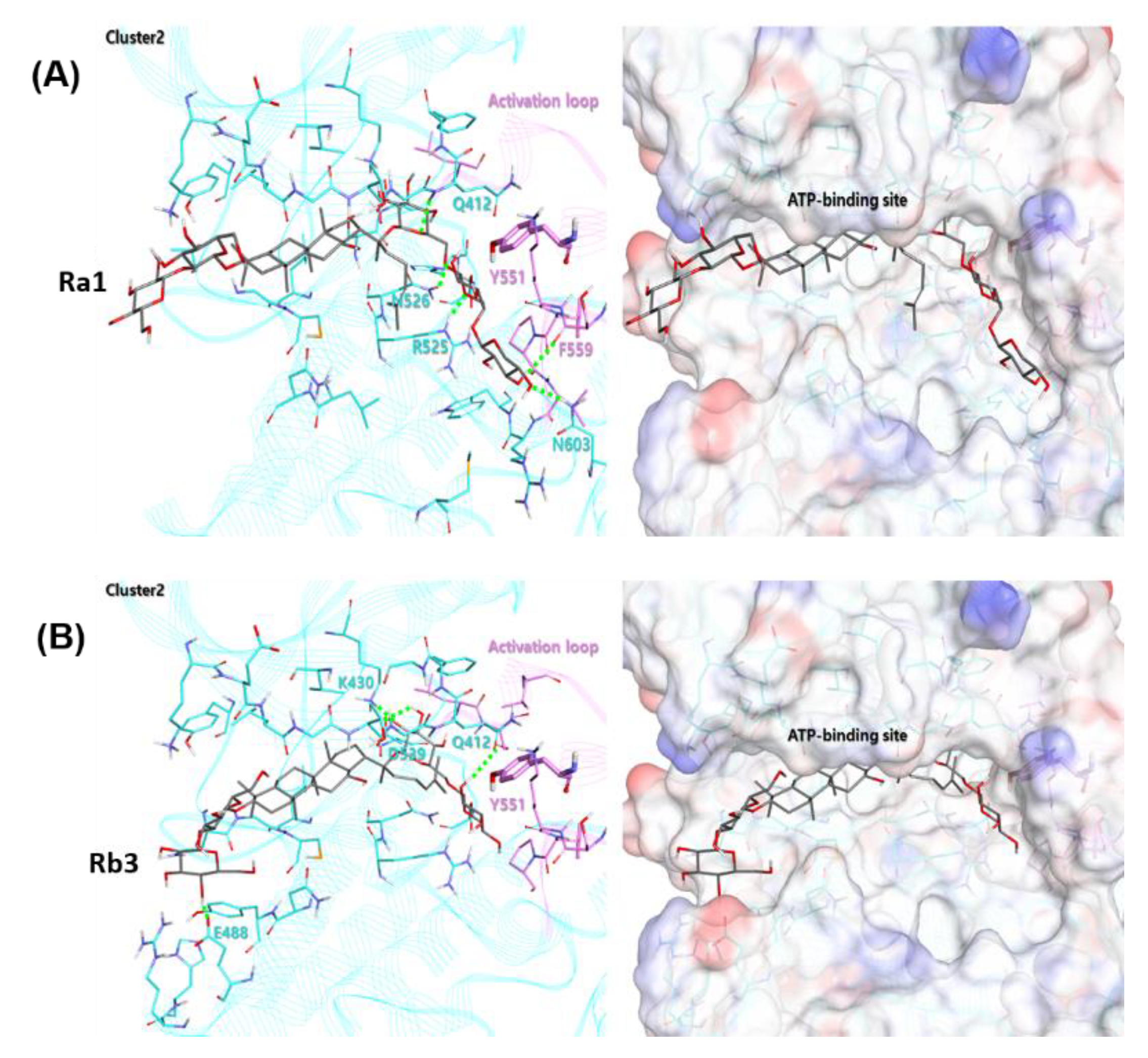 Ijms 21 03065 g008 Ijms 21 03065 g008