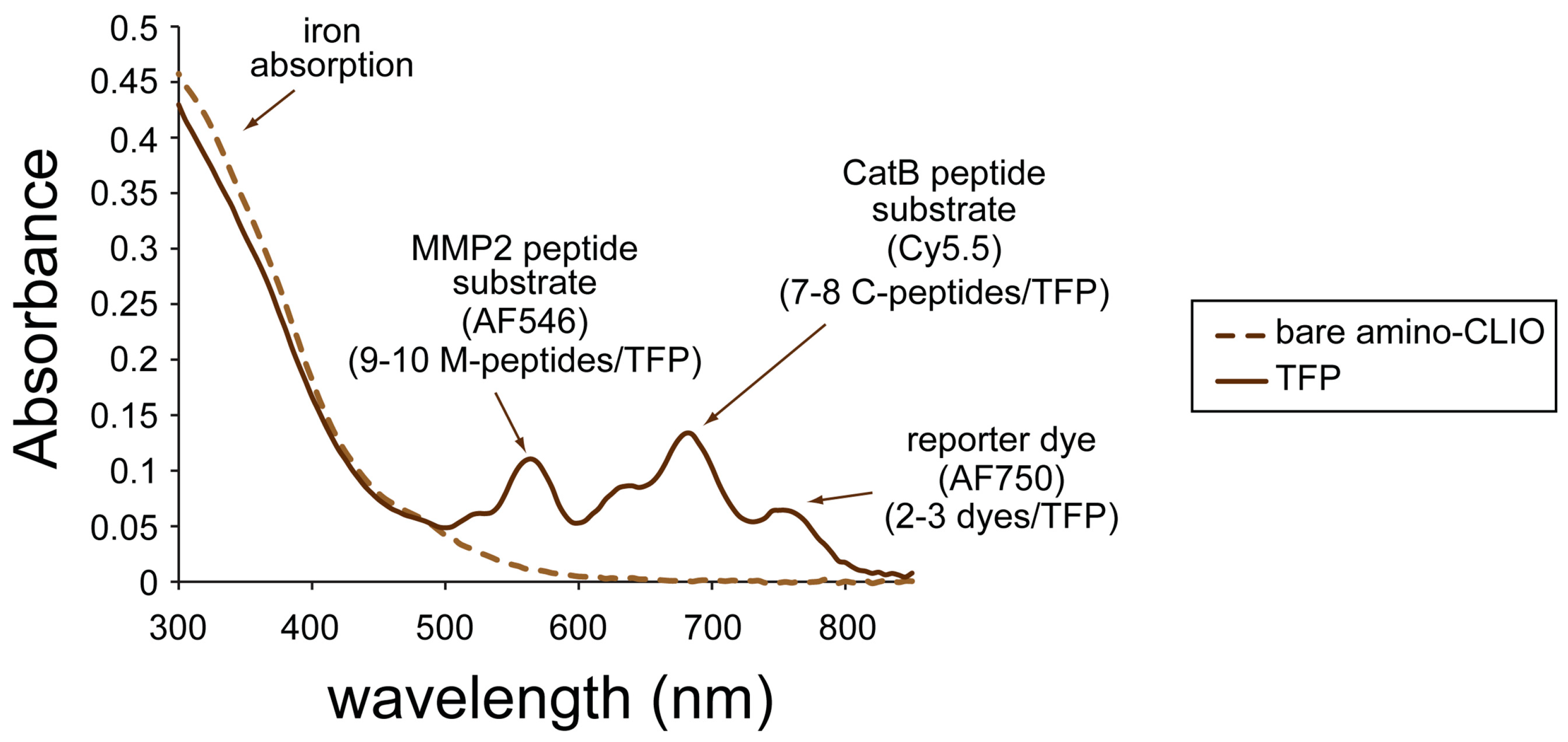 Ijms 21 03068 g003 Ijms 21 03068 g003