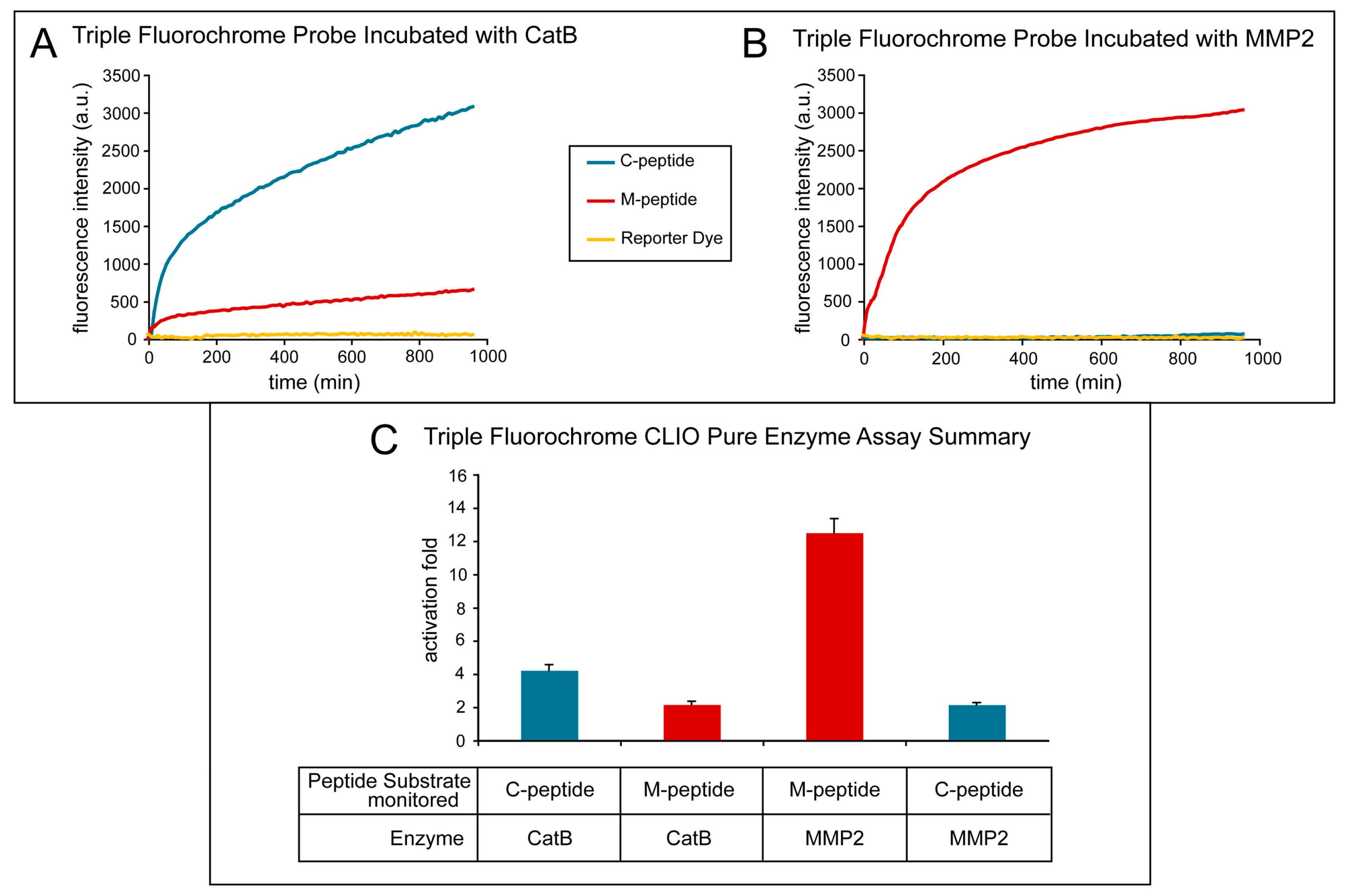Ijms 21 03068 g004 Ijms 21 03068 g004